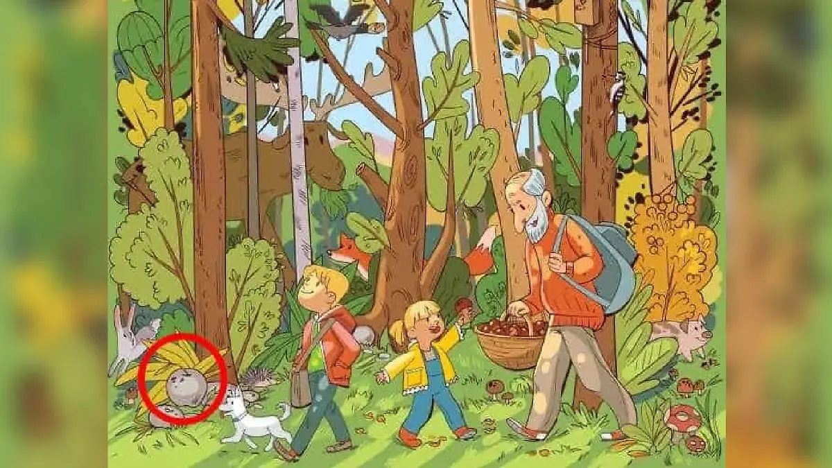 Suchbild Lösung