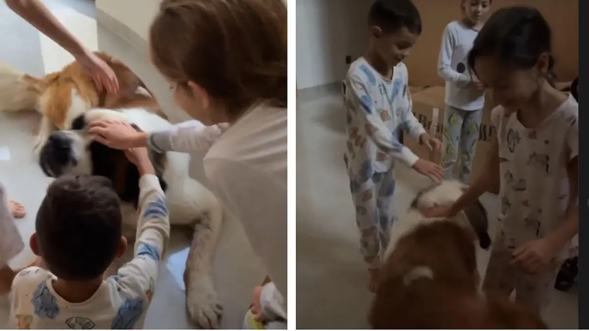 Familie Ferchichi heißt Familienhund Pudding zu Hause willkommen.