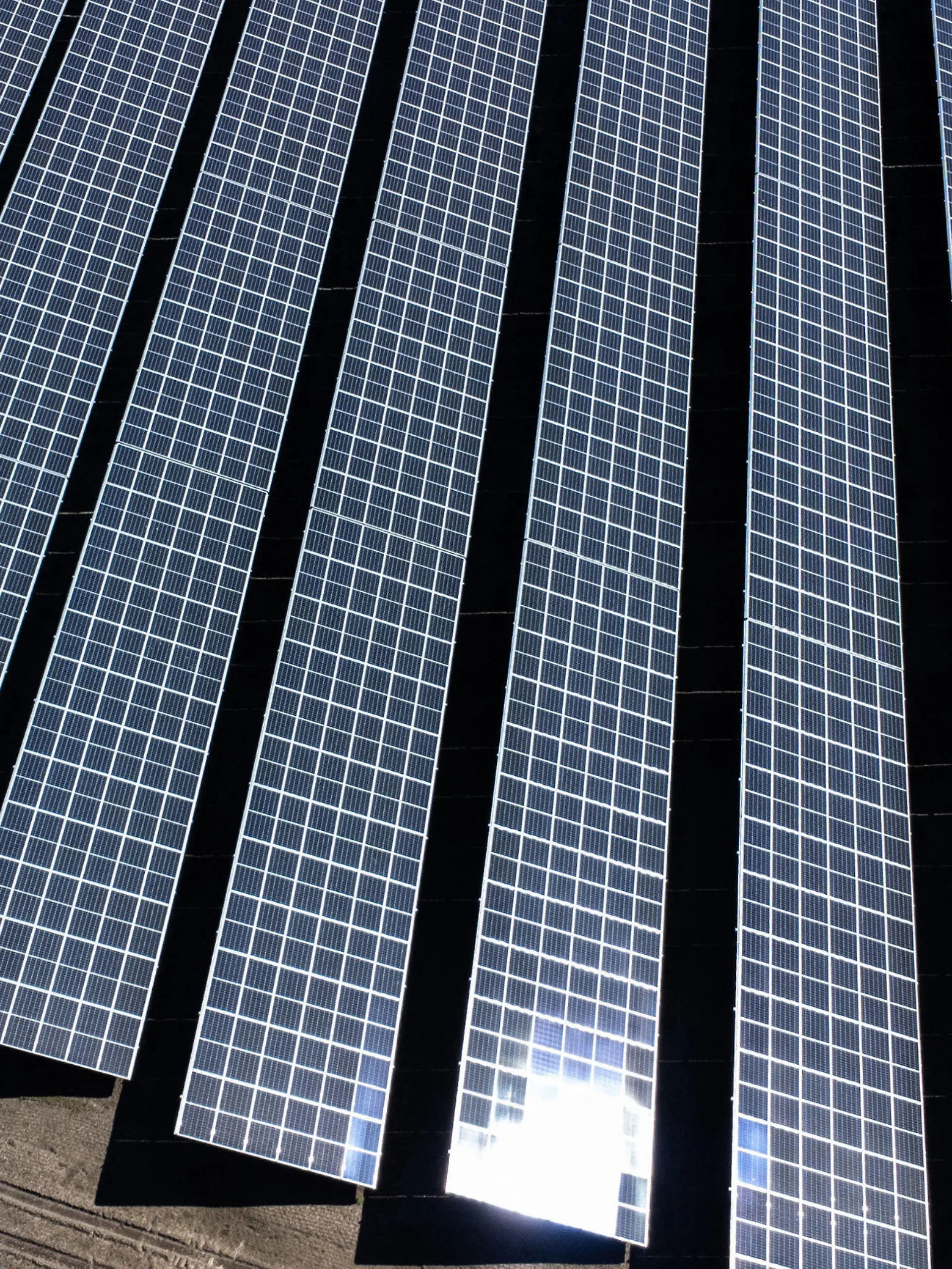 ARCHIV - 19.04.2023, Schleswig-Holstein, Wasbek: Eine Solaranlage steht neben Feldern und der Autobahn bei Neumünster. (zu dpa: «Vattenfall liefert Solarstrom an Evonik») Foto: Christian Charisius/dpa +++ dpa-Bildfunk +++