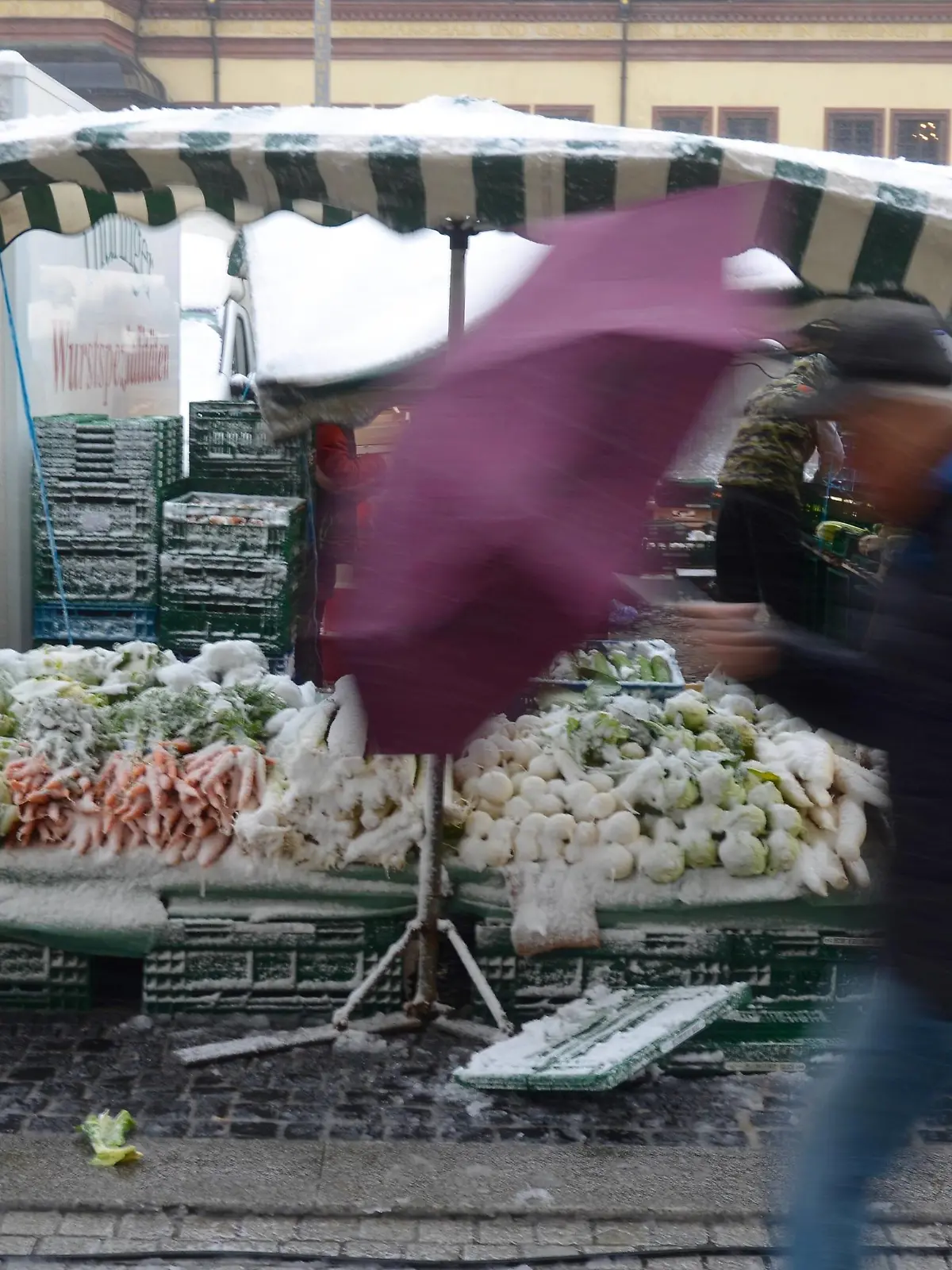 Gemüse im Schnee au dem Markt.Das Wetter in Leipzig mitte März.Der Winter ist immer noch nicht vorbei und meldet sich zurück. Starker Schneeregen und Wind, Temperatruren um 1 Grad Celsius lässt eine Rekort kälte in der Messestadt erwarten. *** Vegetables in the snow on the market The weather in Leipzig in the middle of March The winter is still not over and logs back Strong snowfall and wind Temperatures of 1 degree Celsius can expect a Rekort cold in the fair city  