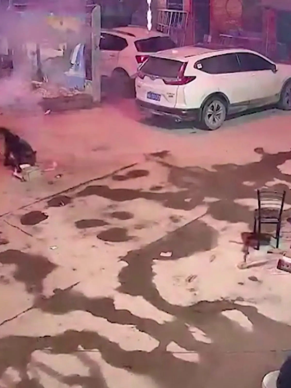 Dieser Schäferhund will seine Familie eigentlich nur vor dem Feuerwerk im Hinterhof schützen. Todesmutig stürzt er sich auf das bereits brennende Feuerwerk - und macht damit alles schlimmer. Denn statt von der Hof-Mitte sprüht es jetzt von beinahe jeder Ecke aus. Wahrscheinlich deshalb, weil der Hund keine geeignete Ablagefläche für das Feuerwerk findet. Die spektakulären Szenen und wie es dem Hund jetzt geht - im Video.