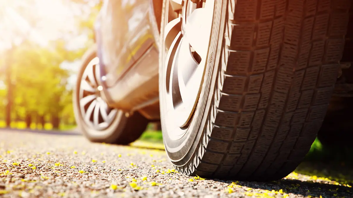Car tires closeup on asphalt road on summer day at park. Vehicle outdoors in nature with beautiful sunlight. Transportation, vacations and travel conceptCar on asphalt road on summer day at park