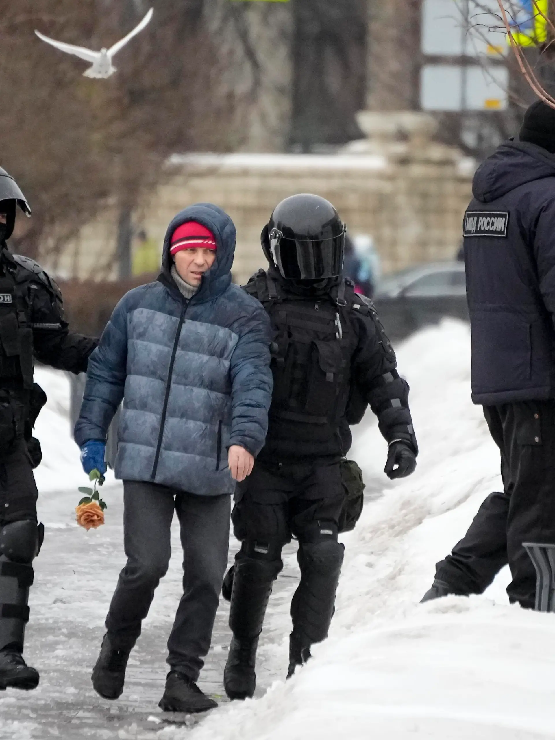 Police detain a man as he wanted to lay flowers paying their last respect to Alexei Navalny at the monument, a large boulder from the Solovetsky islands, where the first camp of the Gulag political prison system was established, in St. Petersburg, Russia on Saturday, Feb. 17, 2024. Russian authorities say that Alexei Navalny, the fiercest foe of Russian President Vladimir Putin who crusaded against official corruption and staged massive anti-Kremlin protests, died in prison. He was 47. (AP Photo/Dmitri Lovetsky)