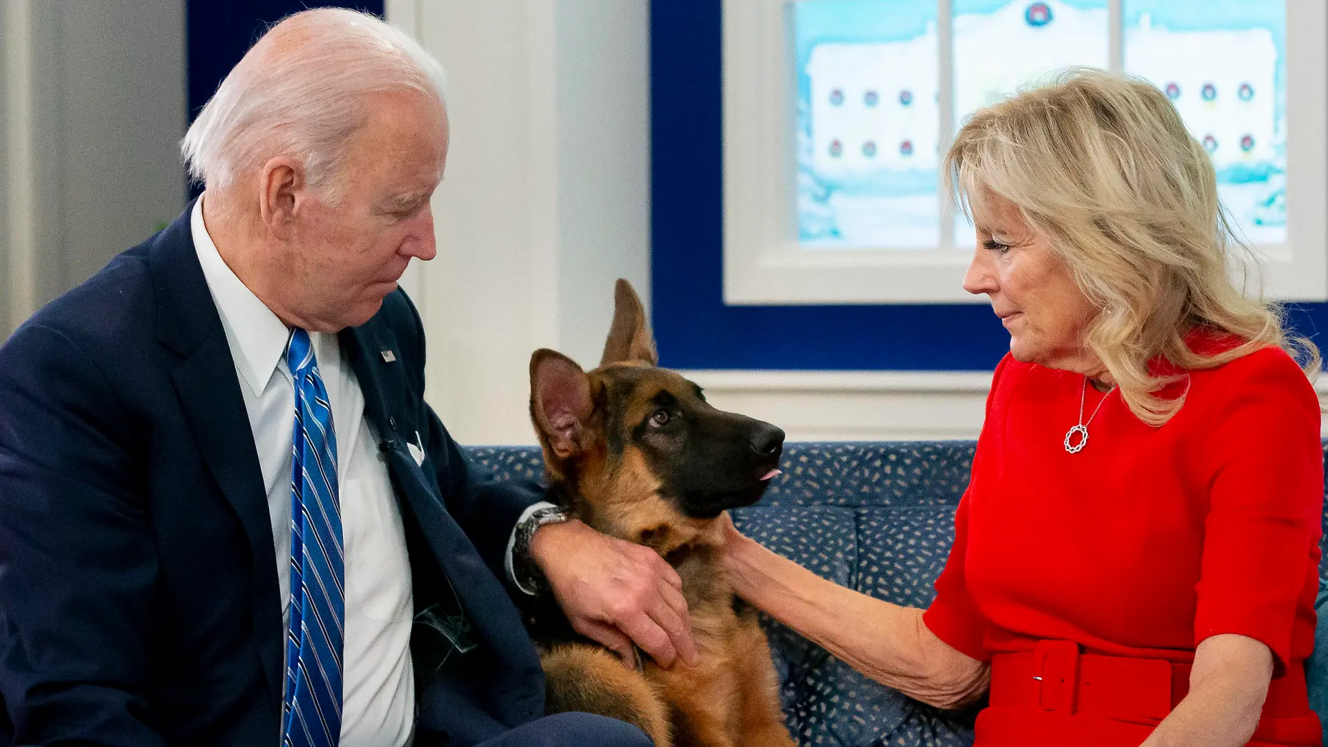United States President Joe Biden, left, and first lady Dr. Jill Biden, right, pet their dog, a German Shepherd puppy named Commander , while virtually meeting with United States military service members on Christmas Day, in the Eisenhower Executive Office Building on the White House complex in Washington, DC, USA, 25 December 2021. PUBLICATIONxNOTxINxUSA Copyright: xMichaelxReynoldsx/xPoolxviaxCNPx/MediaPunchx