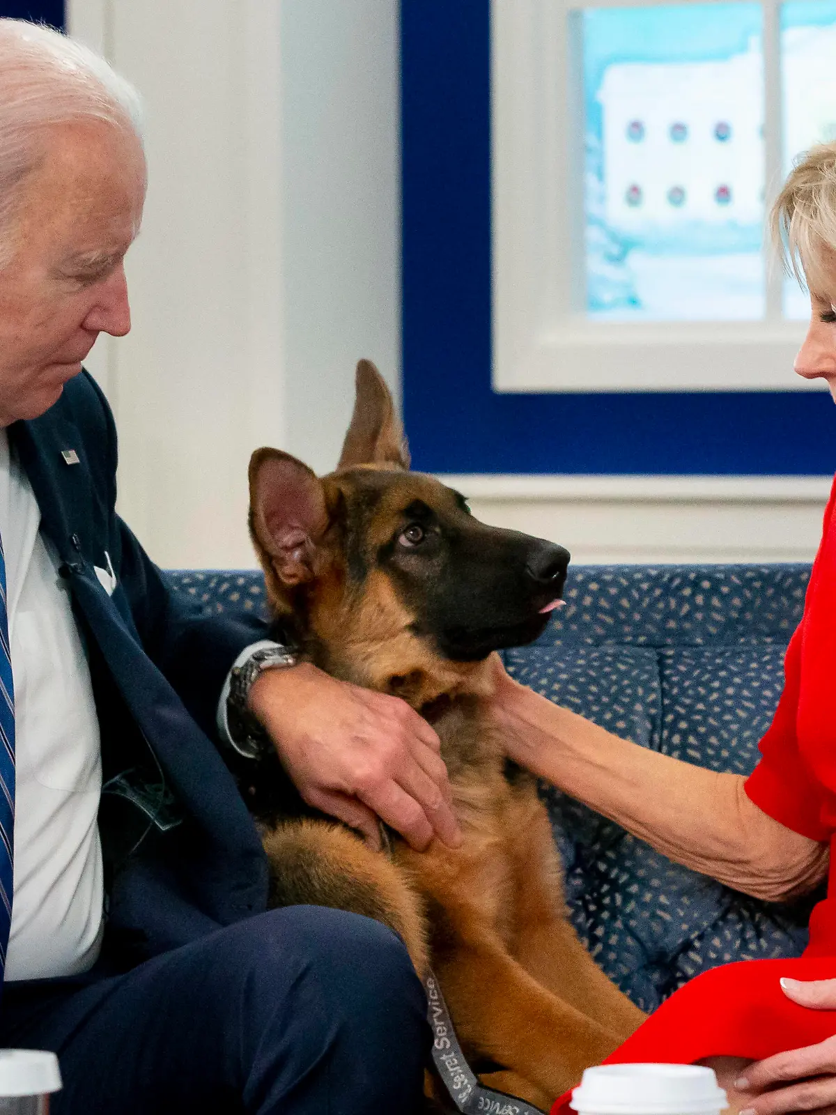United States President Joe Biden, left, and first lady Dr. Jill Biden, right, pet their dog, a German Shepherd puppy named Commander , while virtually meeting with United States military service members on Christmas Day, in the Eisenhower Executive Office Building on the White House complex in Washington, DC, USA, 25 December 2021. PUBLICATIONxNOTxINxUSA Copyright: xMichaelxReynoldsx/xPoolxviaxCNPx/MediaPunchx 