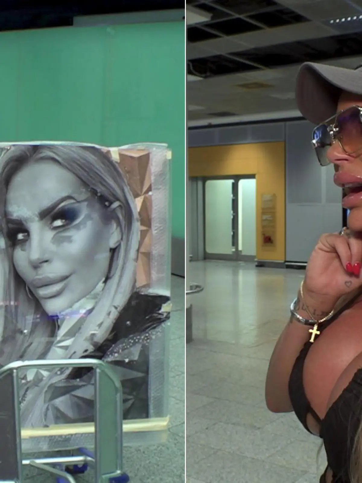 Künstlerin Sarah Stock hat sich alle Mühe gegeben, IN die Seele von Gina-Lisa zu schauen und NICHT - wie es bei vielen anderen der Fall ist - am Äußeren hängen zu bleiben! Am Frankfurter Flughafen erwartet die Künstlerin aus Mönchengladbach voller Spannung ihre berühmte Auftraggeberin. Doch das Aufeinandertreffen verläuft ganz anders als es anfangs scheint! Gina-Lisa hat einiges rumzumäkeln. Und das vor laufenden Kameras.