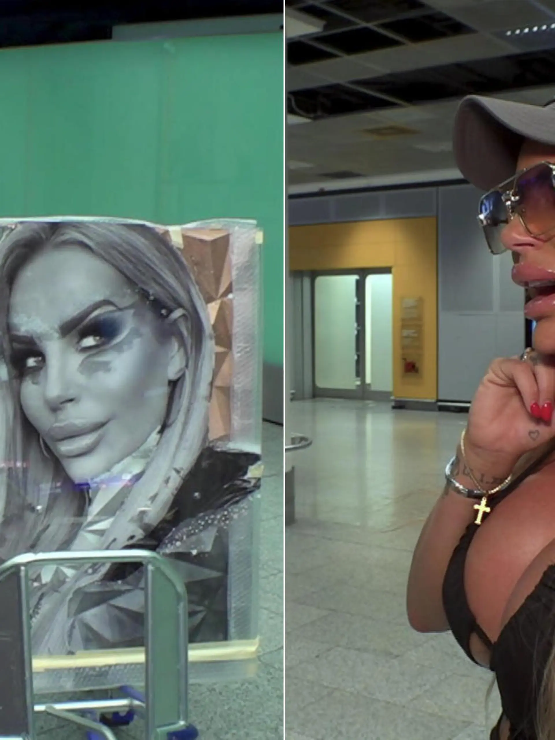 Künstlerin Sarah Stock hat sich alle Mühe gegeben, IN die Seele von Gina-Lisa zu schauen und NICHT - wie es bei vielen anderen der Fall ist - am Äußeren hängen zu bleiben! Am Frankfurter Flughafen erwartet die Künstlerin aus Mönchengladbach voller Spannung ihre berühmte Auftraggeberin. Doch das Aufeinandertreffen verläuft ganz anders als es anfangs scheint! Gina-Lisa hat einiges rumzumäkeln. Und das vor laufenden Kameras.