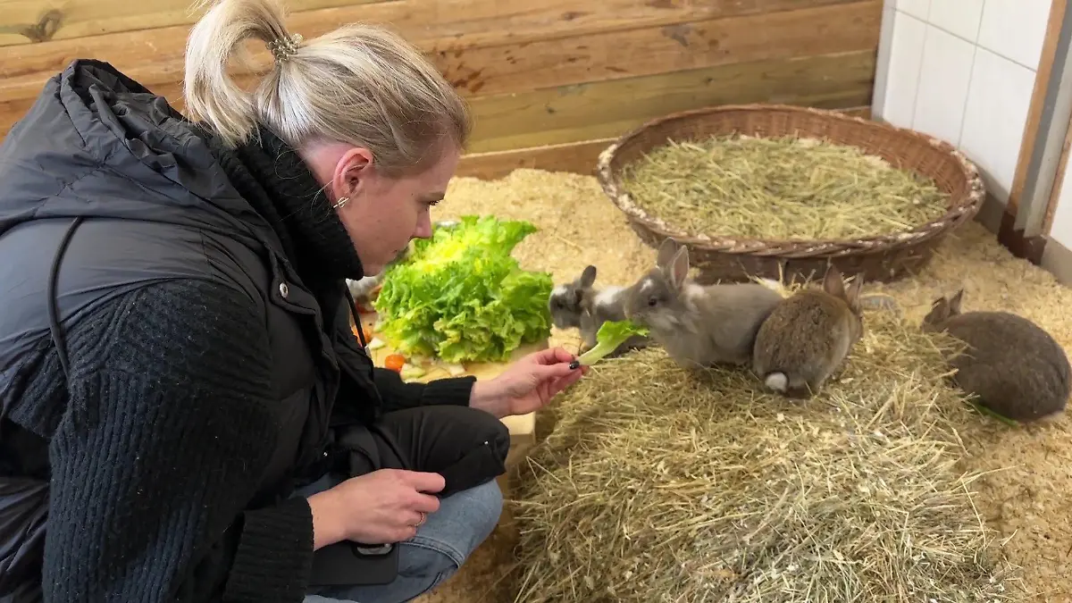 Sarah Rennhack ist selbst Besitzerin von sechs Kaninchen.