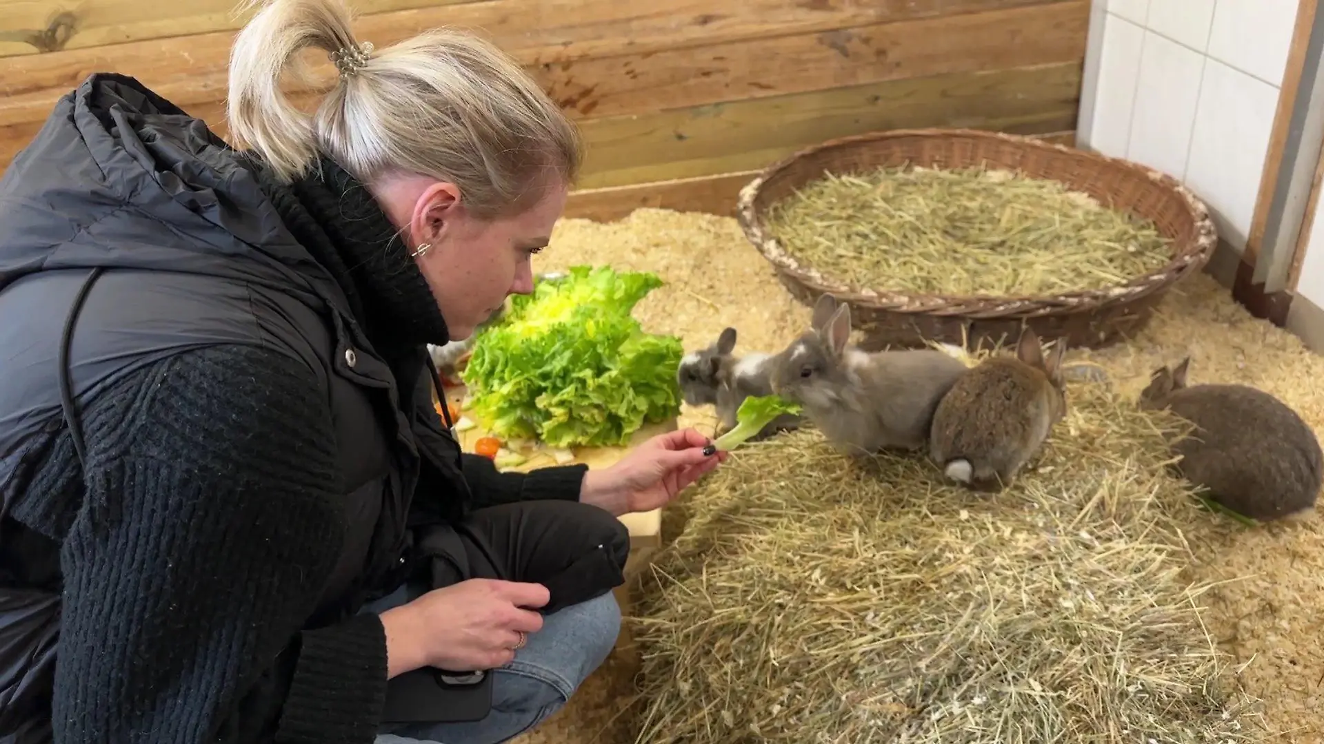 Sarah Rennhack ist selbst Besitzerin von sechs Kaninchen.