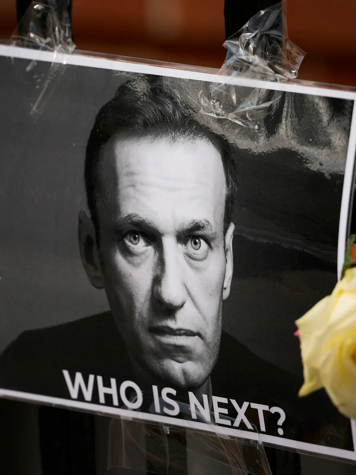 FILE - A flower and a picture are left as a tribute to Russian politician Alexei Navalny, near to the Russian Embassy in London, Feb. 18, 2024. The U.S. government is hitting Russia with the largest tranche of financial penalties imposed on Moscow since its 2022 invasion of Ukraine. They target roughly 600 people and firms from Russia to China to the United Arab Emirates. The sanctions are timed to the second anniversary of the invasion, and in response to the death of Navalny. (AP Photo/Kirsty Wigglesworth, File)