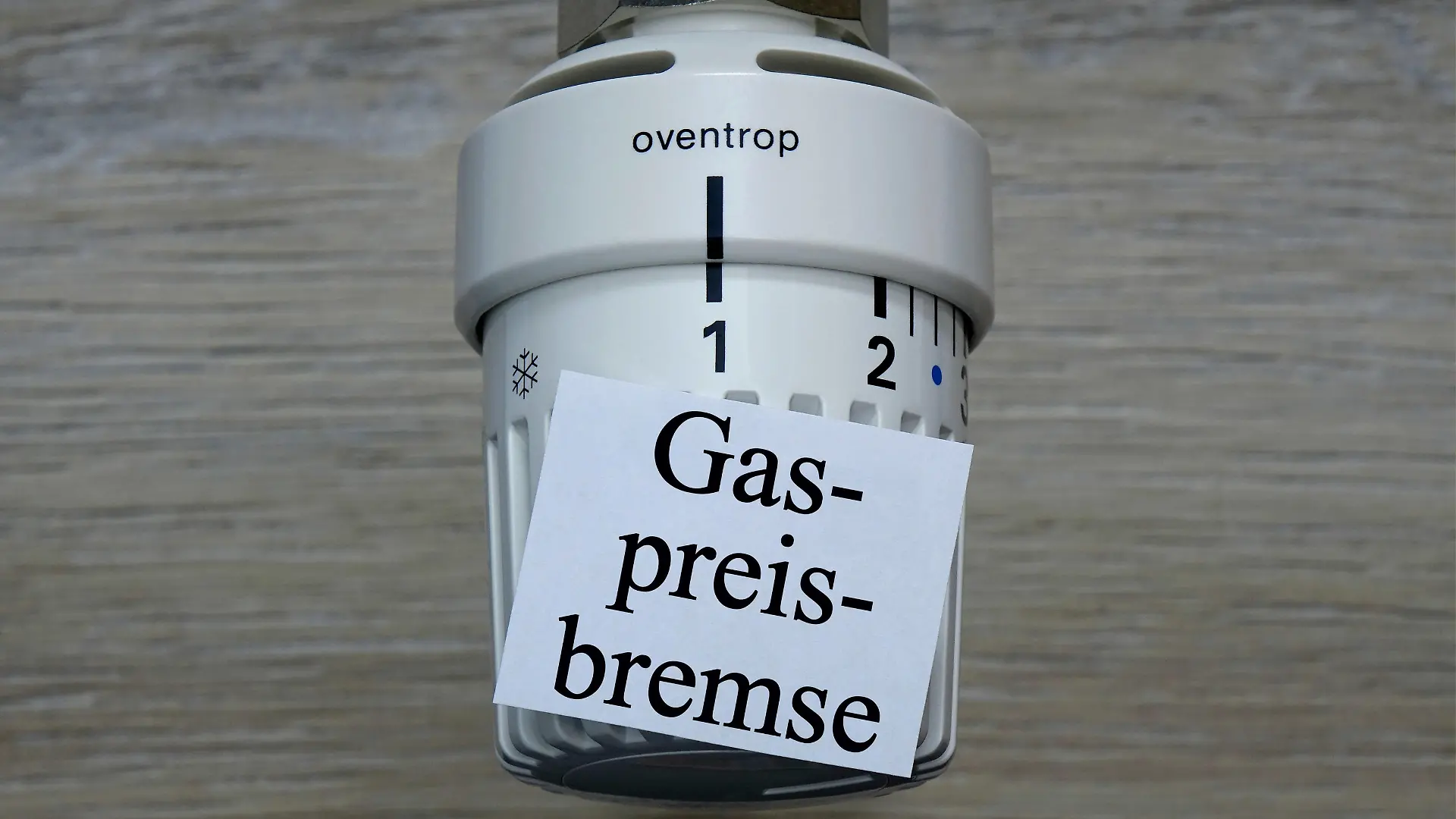 Thermostat und Gaspreisgrenze Thermostat und Gaspreisgrenze, 29.09.2022, Borkwalde, Brandenburg, Auf einem Thermostat liegt der Schriftzug Gaspreisbremse. *** Thermostat and gas price limit Thermostat and gas price limit, 29 09 2022, Borkwalde, Brandenburg, On a thermostat lies the writing gas price brake 