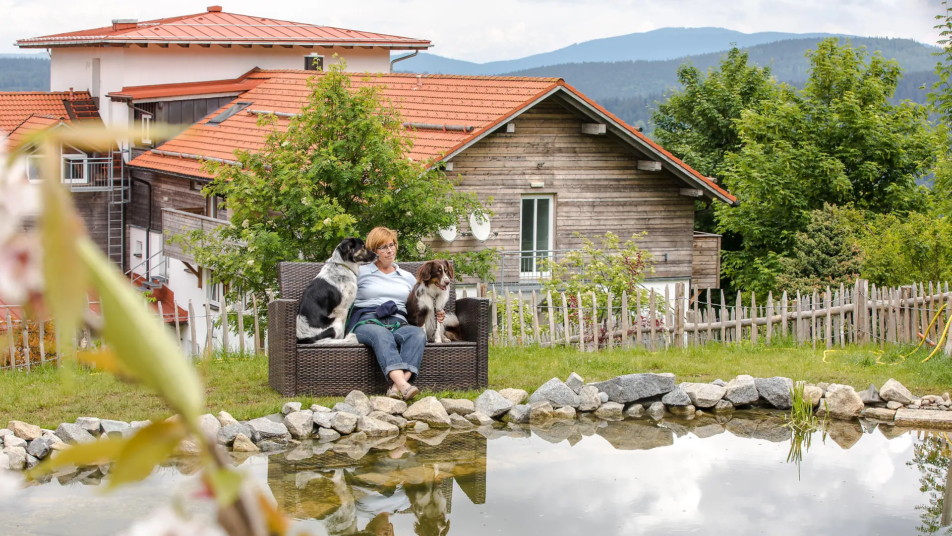 Der Hundebadeteich ist eines der Highlights im Hunderesort Waldeck