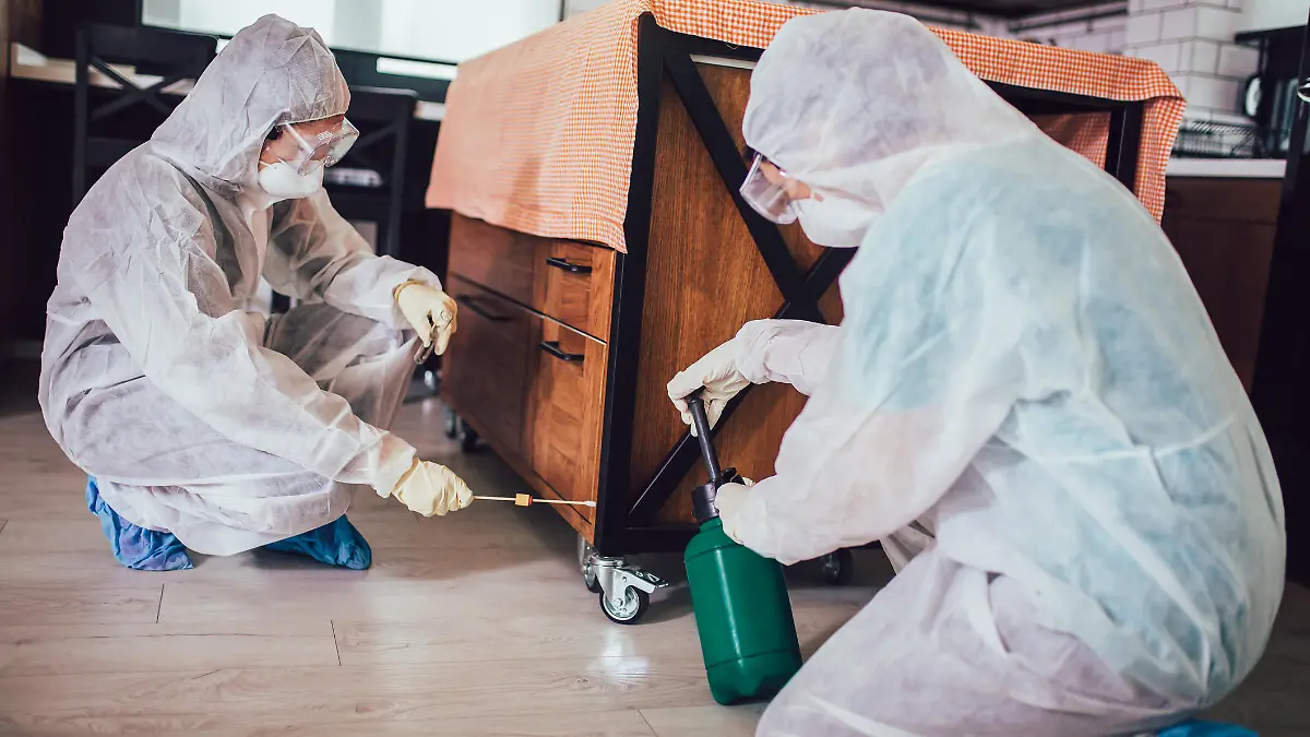 Specialists in protective suits take samples from surfaces in the home to test for a new corona virus.