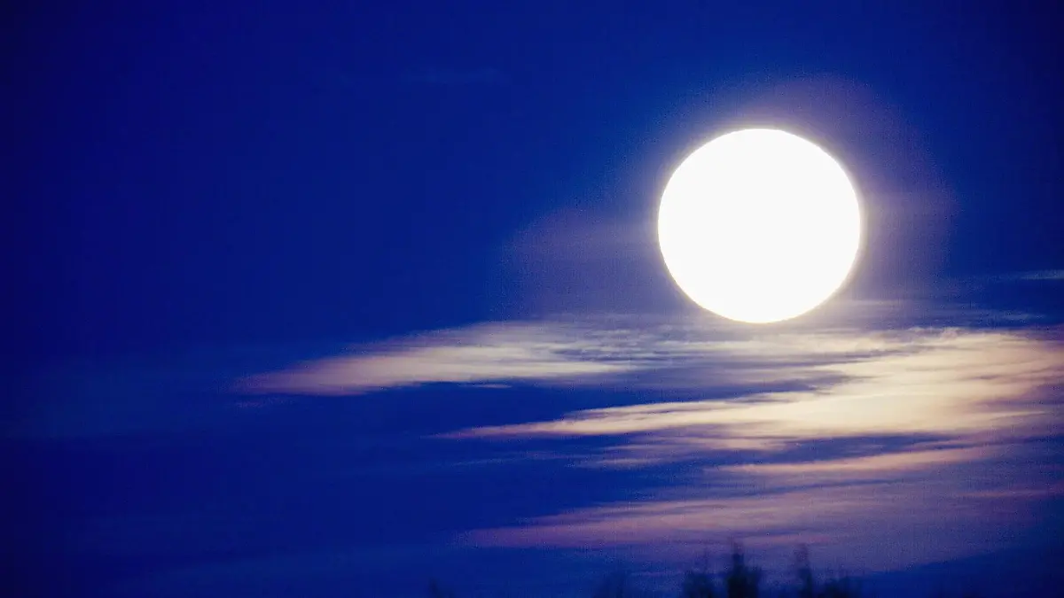 Full moon. +++(c) dpa - Report+++