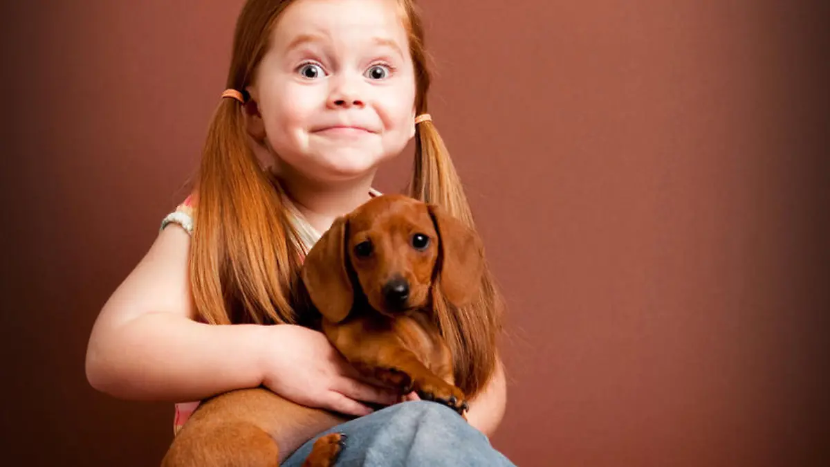 Color photo of an excited little girl holding her pet Miniature Dachshund puppy.