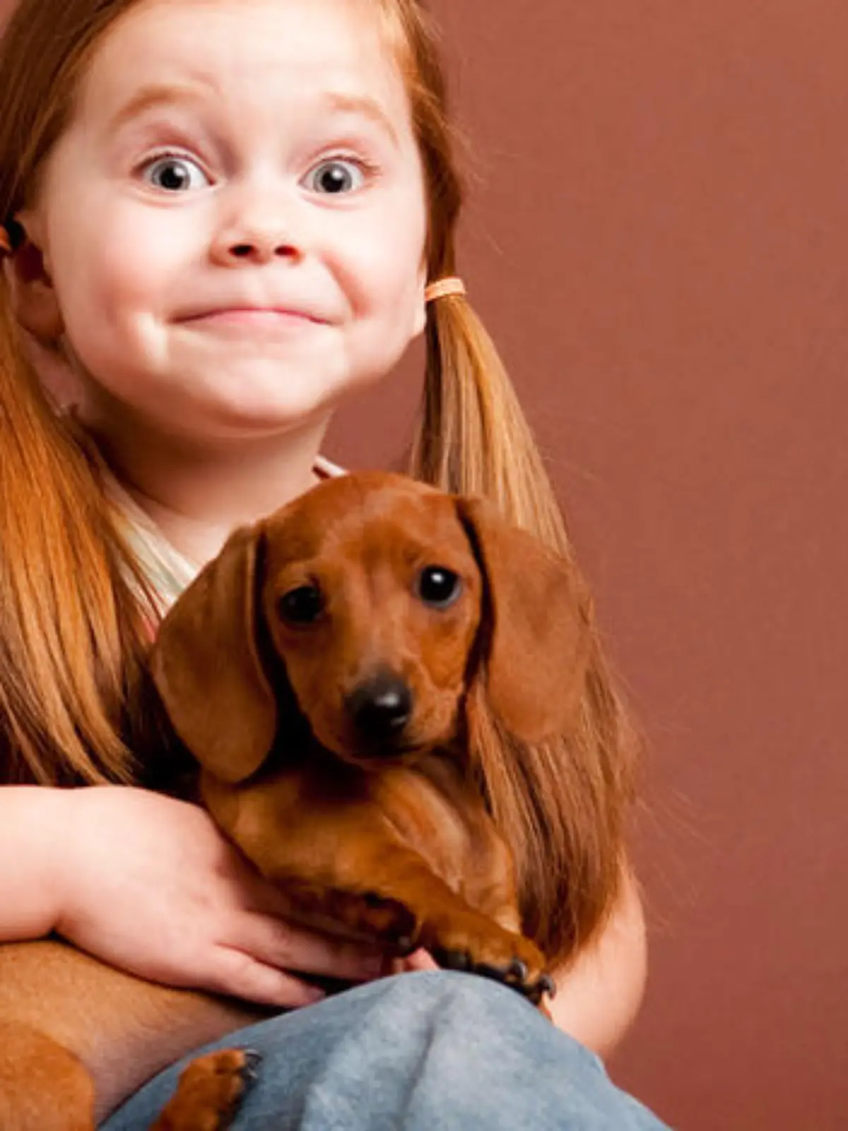 Color photo of an excited little girl holding her pet Miniature Dachshund puppy.