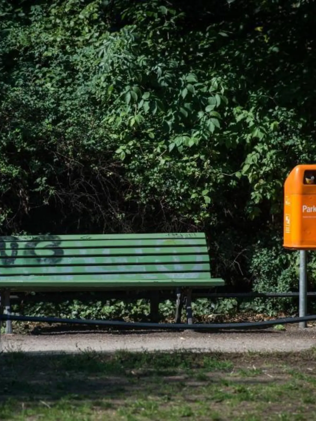 BSR-Mülleimer neben Parkbank