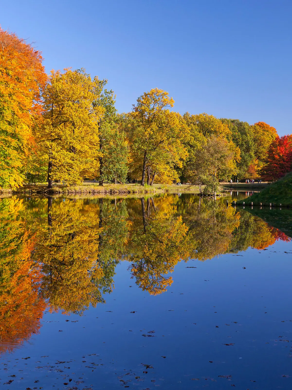 DEU/Deutschland/Brandenburg/Cottbus; 20.10.2012: Goldener Oktober im Fuerst-Pueckler-Park Branitz; Bunt gefaerbte Baeume stehen an einem sonnigen Tag im Oktober 2012 am Ufer des Pyramidensees im Branitzer Park in Cottbus. **Foto: Andreas Franke** | Verwendung weltweit