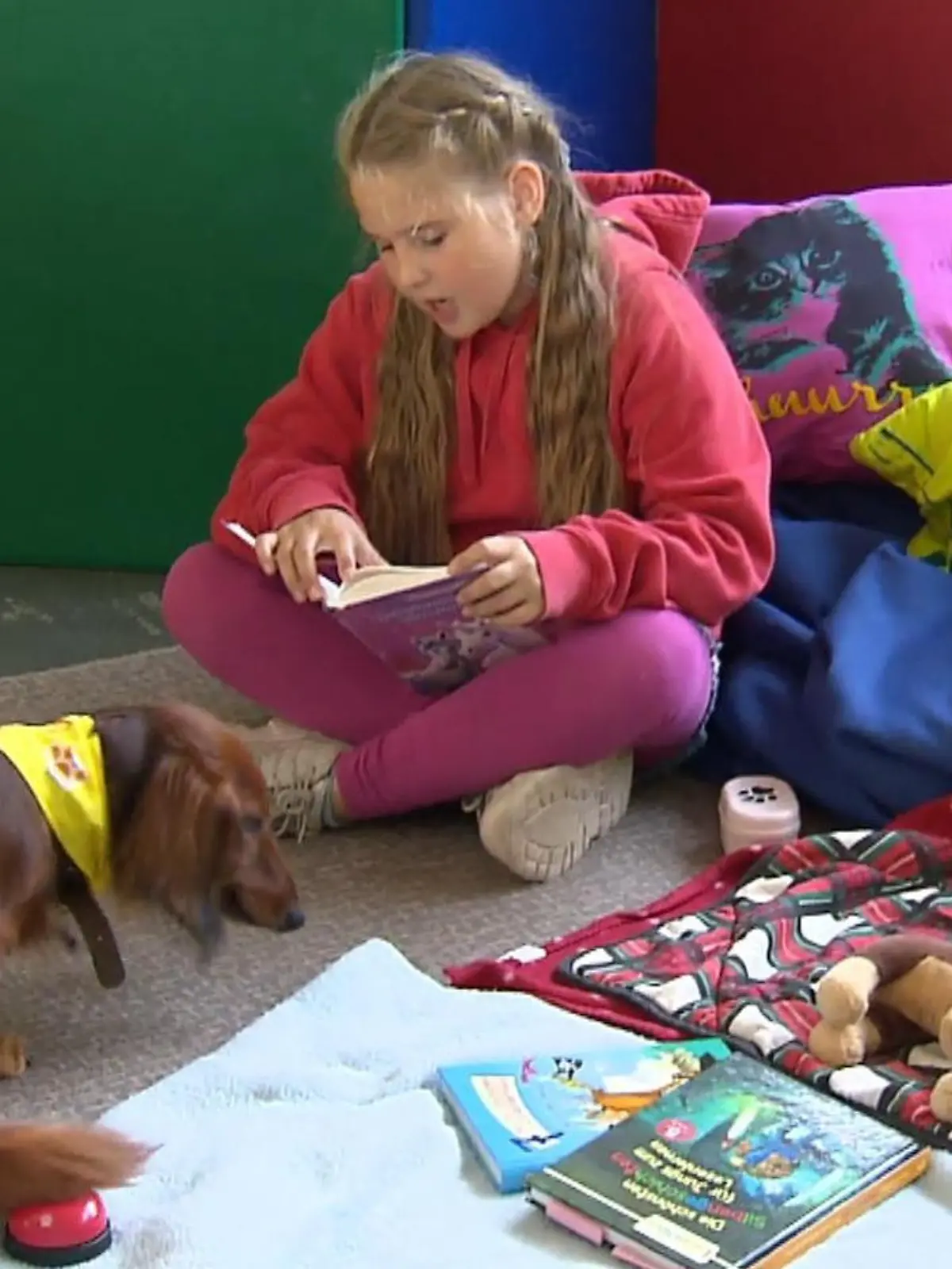 Ein Hund ist ein treuer Begleiter – und auch ein guter Zuhörer! Dackeldame Beauty ist ausgebildete Zuhörhündin, sie bietet Kindern mit Leseschwäche eine offenes Schlappohr an. Wie diese Zusammenarbeit zwischen Beauty und Drittklässlerin Alenjandra aussieht – im Video!