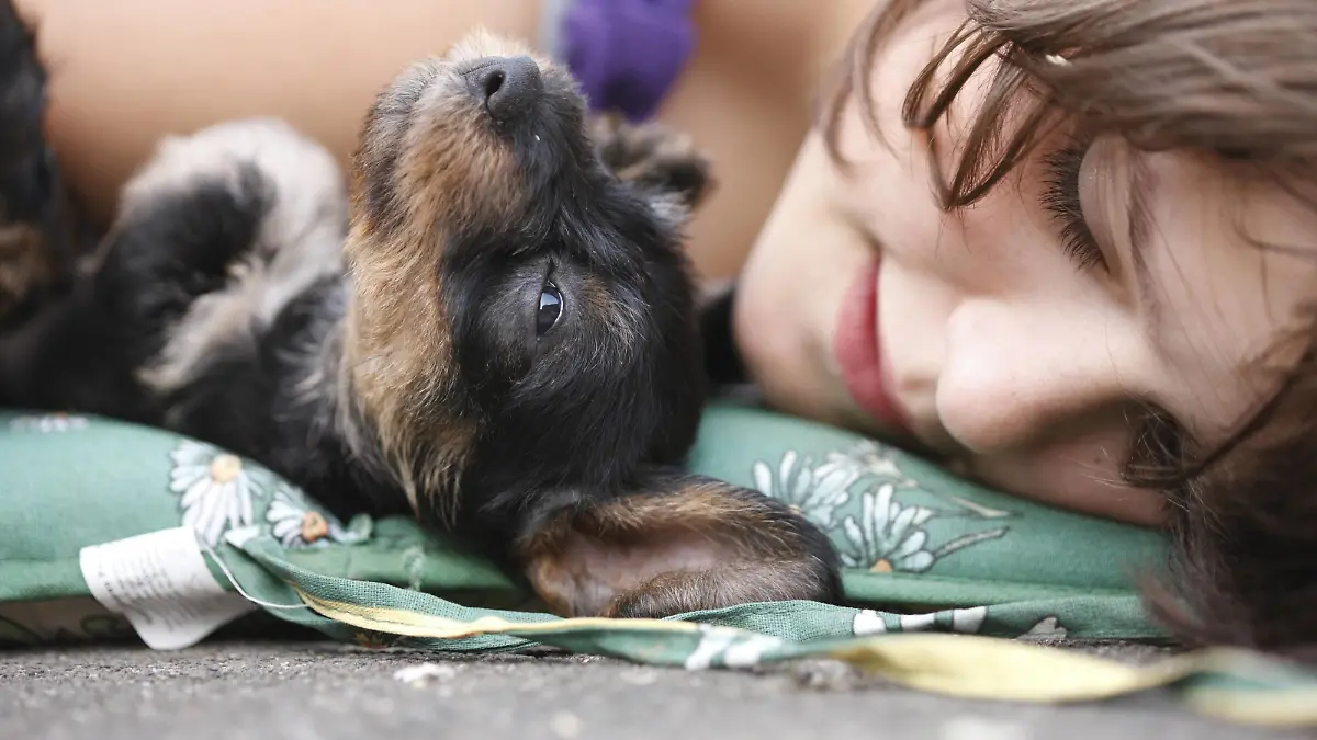 Kind und Welpe liegen nebeneinander
