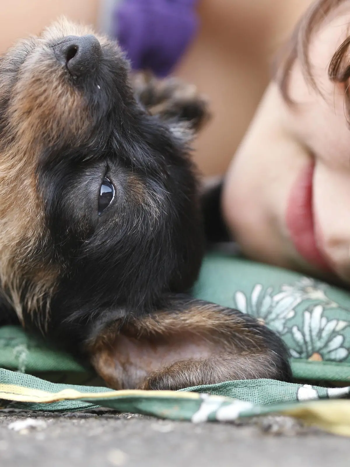 Kind und Welpe liegen nebeneinander