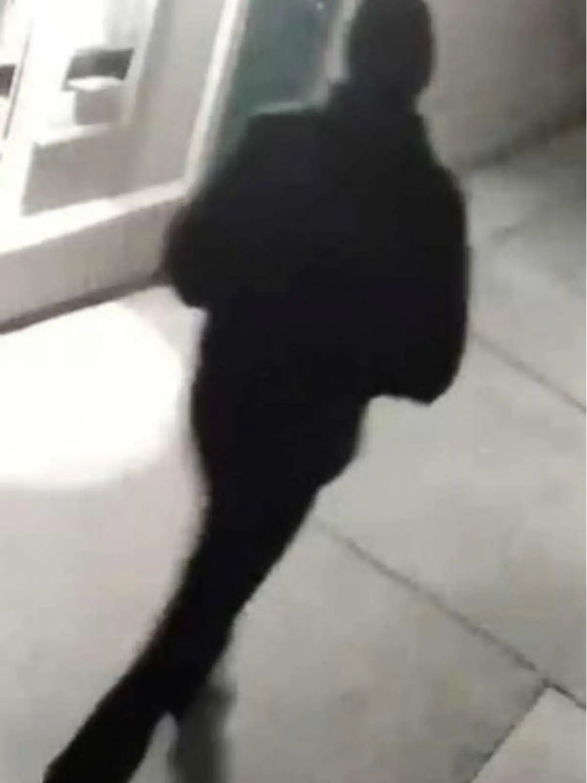 Die Polizei veröffentlichte dieses Foto und hofft jetzt darauf, Hinweise zu erhalten, die zu dem Täter führen.
