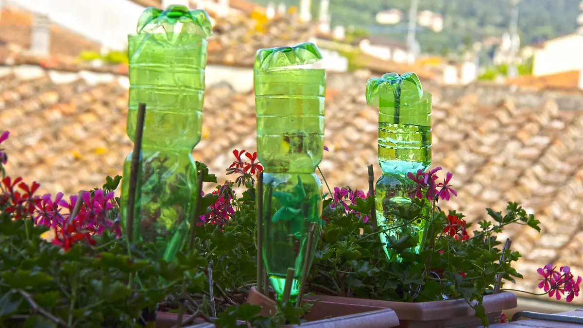 Bewässerungs-Systeme in Haus und Garten: Was ist sinnvoll?