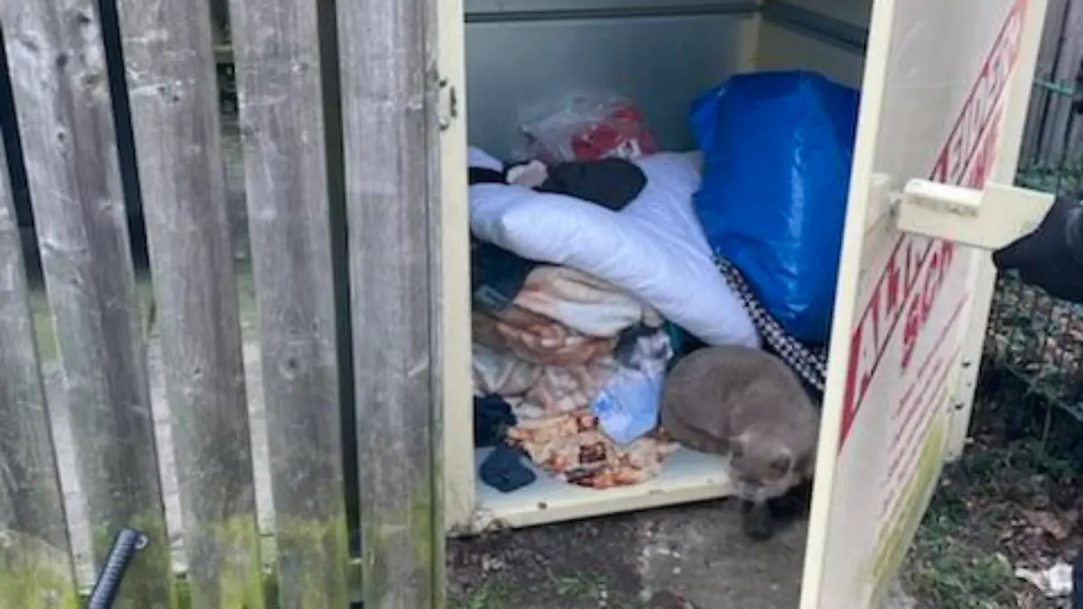 Der Moment der Freiheit! Kater Mr. Grey hat zwei Tage in diesem Altkleidercontainer überlebt.