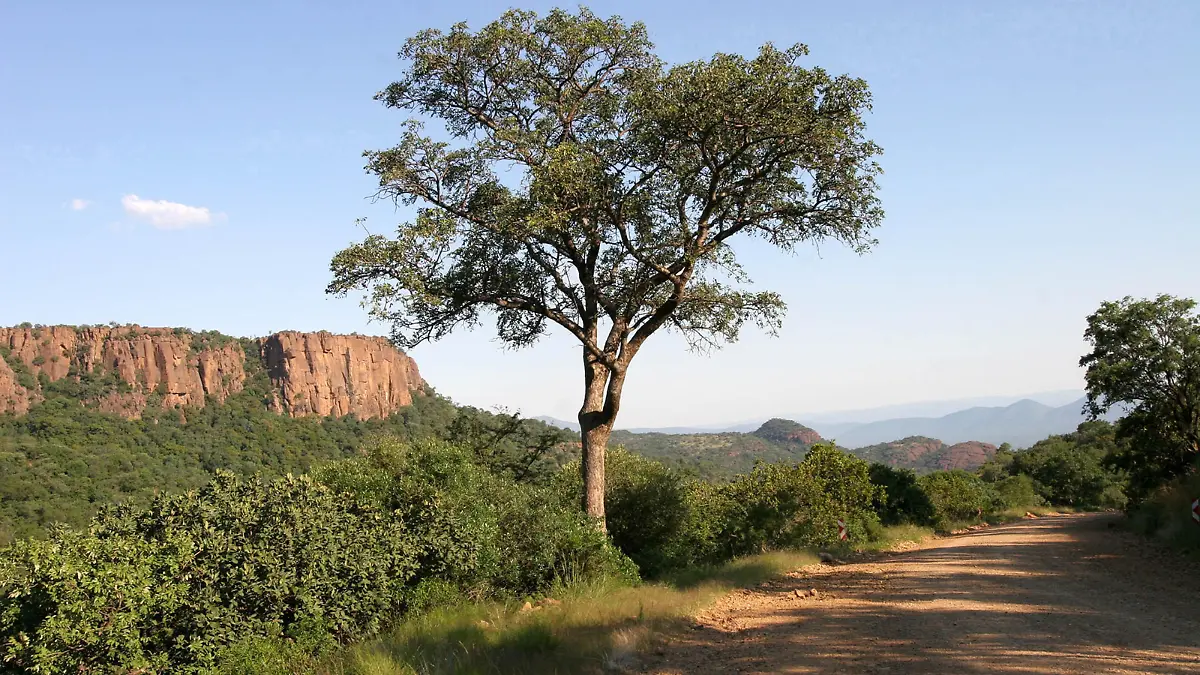 WATERBERG COUNTRY LODGE/THABAZIMBI/LIMPOPO