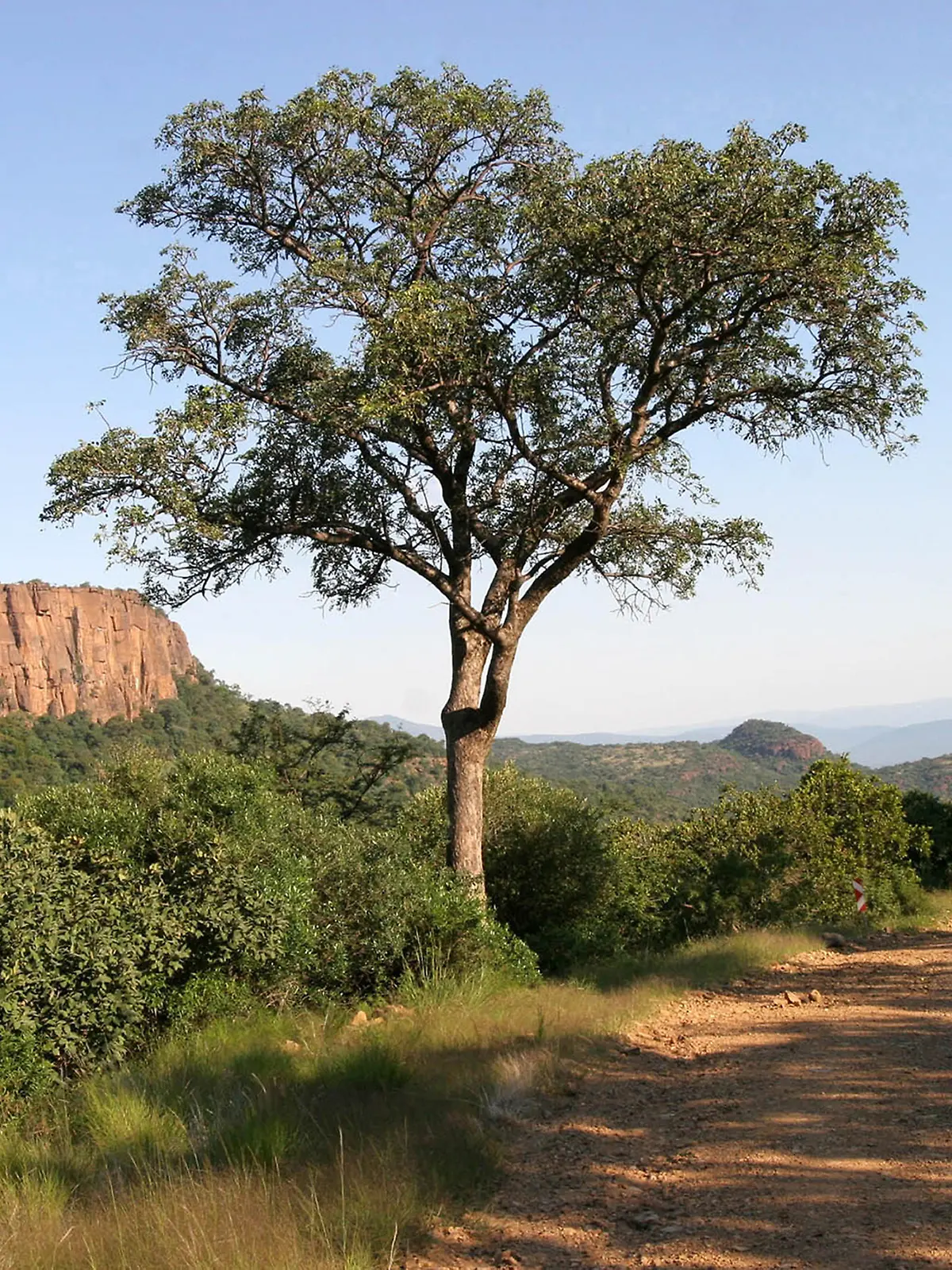 WATERBERG COUNTRY LODGE/THABAZIMBI/LIMPOPO