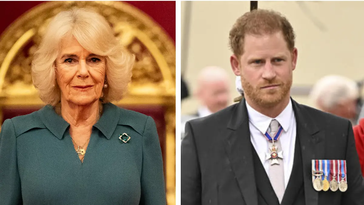Schießt Königin Camilla jetzt etwa gegen Prinz Harry?