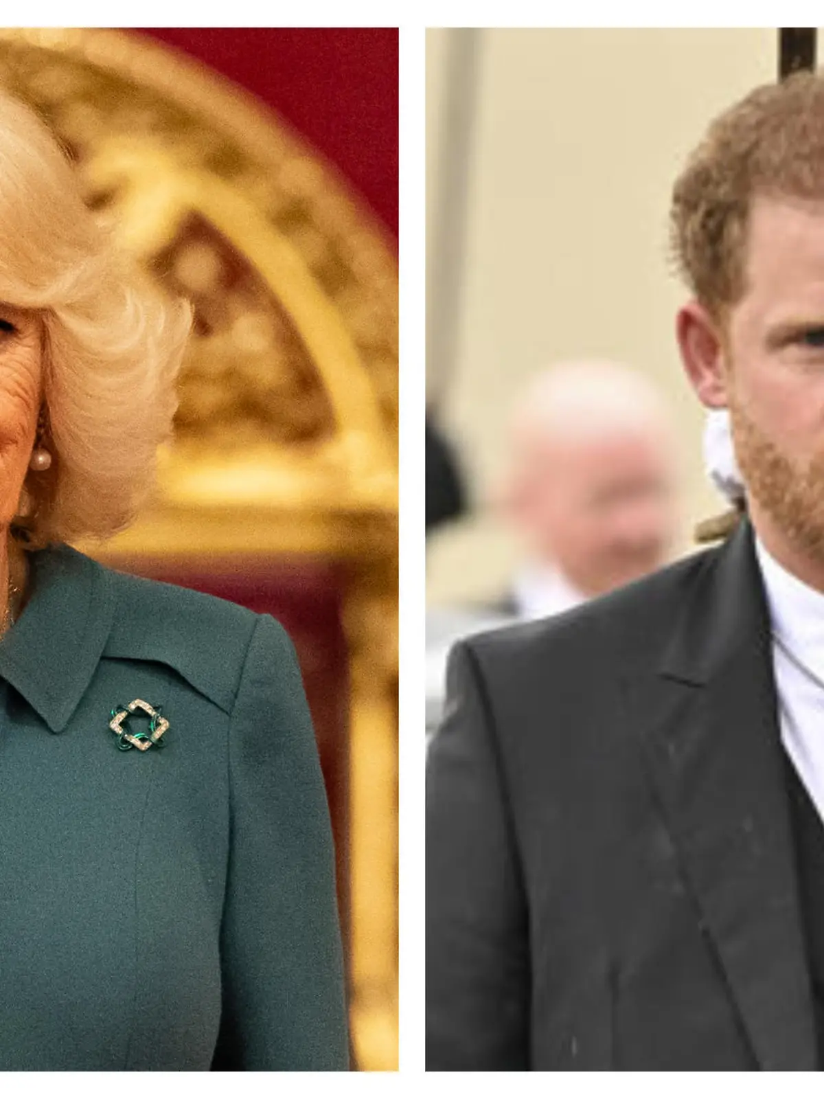 Schießt Königin Camilla jetzt etwa gegen Prinz Harry?