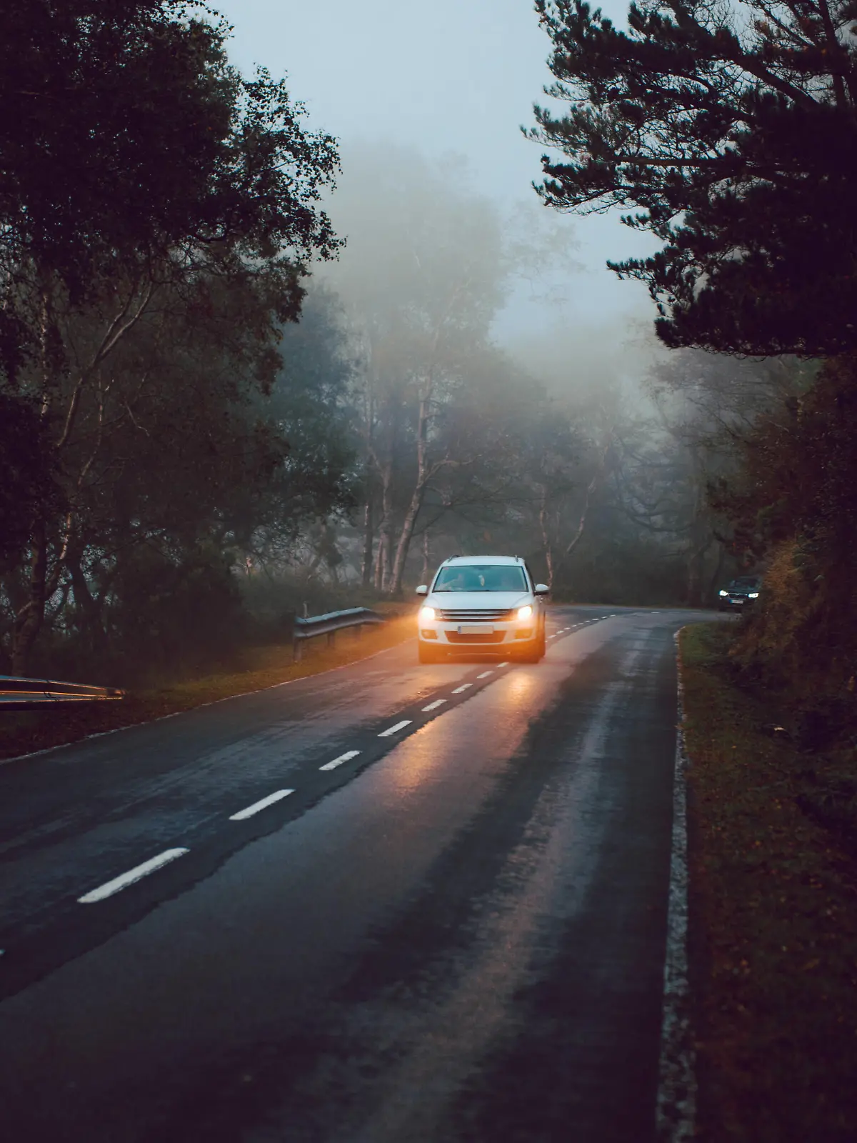 Close-up of a car alone on a road surrounded by trees and mountains AlbertoMenendez_WomanInHayedo_80 Copyright: xAlbertoxMenendezzx