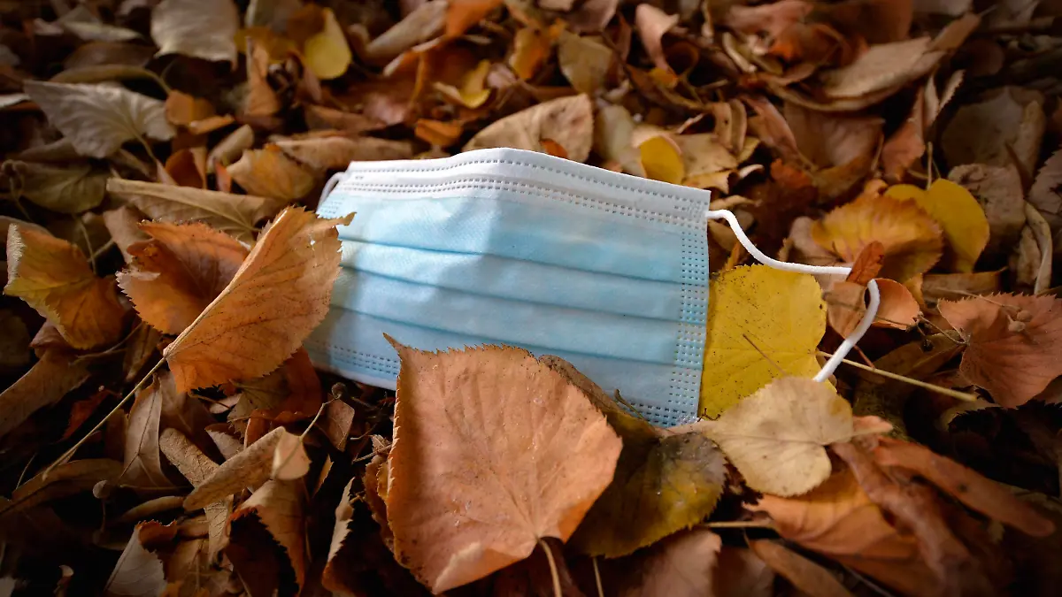 Weggeworfene Mundschutzmaske liegt am Boden im Herbstblaub, Corona-Krise, Stuttgart, Baden-Württemberg, Deutschland, Europa *** Discarded face mask lying on the ground in autumn foliage, corona crisis, Stuttgart, Baden Württemberg, Germany, Europe Copyright: imageBROKER/MichaelxWeber ibximw05898899.jpg Bitte beachten Sie die gesetzlichen Bestimmungen des deutschen Urheberrechtes hinsichtlich der Namensnennung des Fotografen im direkten Umfeld der Veröffentlichung!