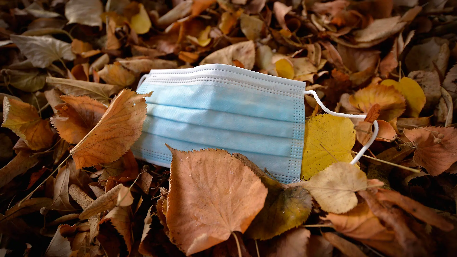 Weggeworfene Mundschutzmaske liegt am Boden im Herbstblaub, Corona-Krise, Stuttgart, Baden-Württemberg, Deutschland, Europa *** Discarded face mask lying on the ground in autumn foliage, corona crisis, Stuttgart, Baden Württemberg, Germany, Europe Copyright: imageBROKER/MichaelxWeber ibximw05898899.jpg Bitte beachten Sie die gesetzlichen Bestimmungen des deutschen Urheberrechtes hinsichtlich der Namensnennung des Fotografen im direkten Umfeld der Veröffentlichung!