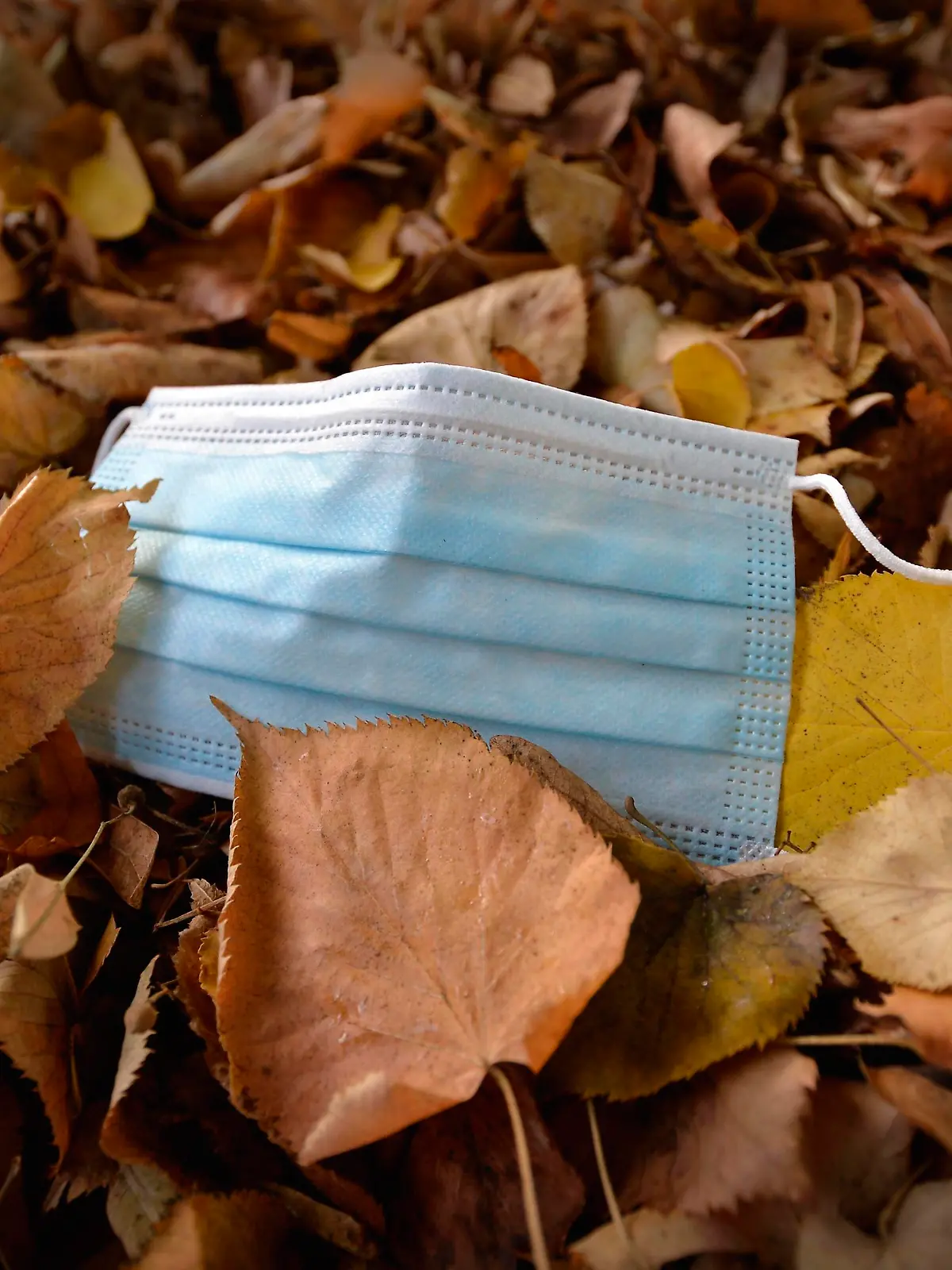 Weggeworfene Mundschutzmaske liegt am Boden im Herbstblaub, Corona-Krise, Stuttgart, Baden-Württemberg, Deutschland, Europa *** Discarded face mask lying on the ground in autumn foliage, corona crisis, Stuttgart, Baden Württemberg, Germany, Europe Copyright: imageBROKER/MichaelxWeber ibximw05898899.jpg  Bitte beachten Sie die gesetzlichen Bestimmungen des deutschen Urheberrechtes hinsichtlich der Namensnennung des Fotografen im direkten Umfeld der Veröffentlichung!