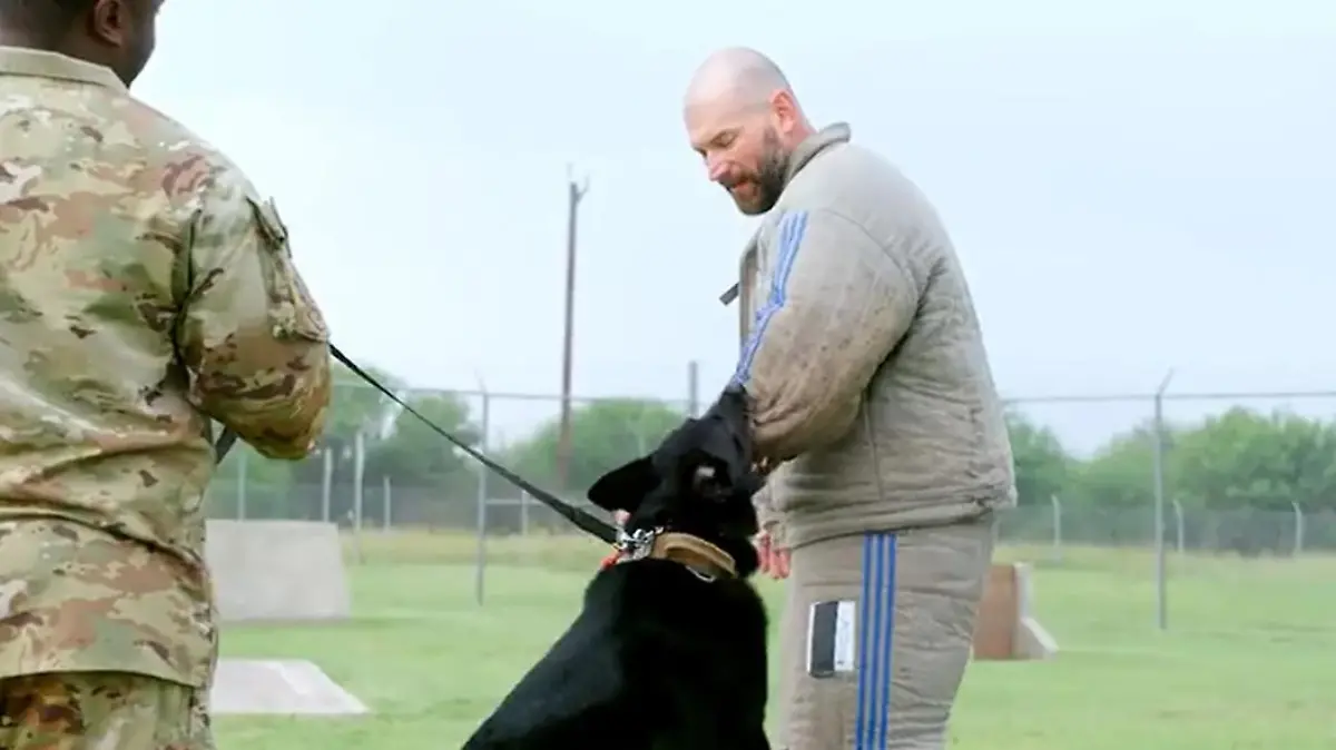 NFL-Legende (38) im Kampf mit einem Militärhund