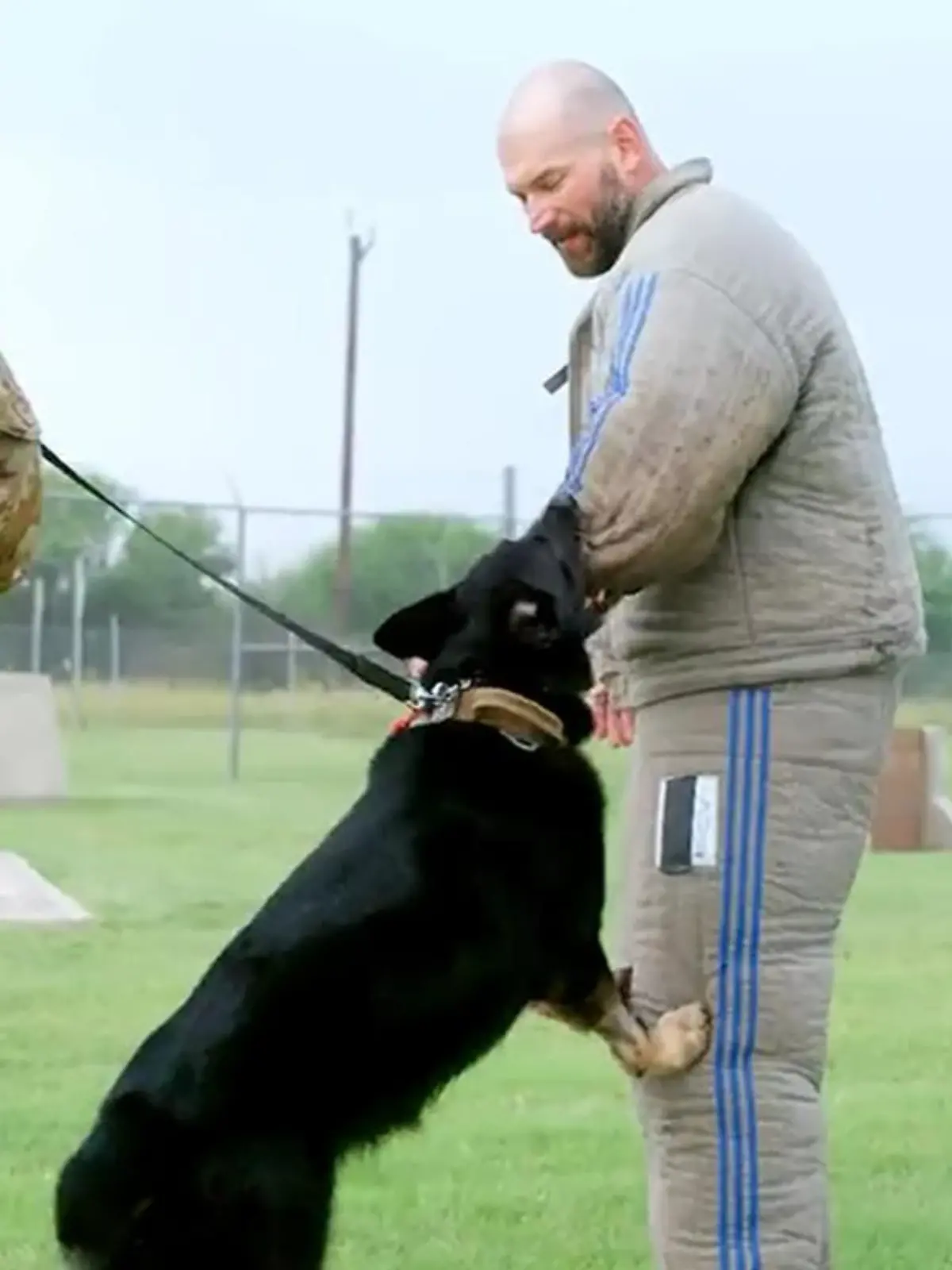 NFL-Legende (38) im Kampf mit einem Militärhund