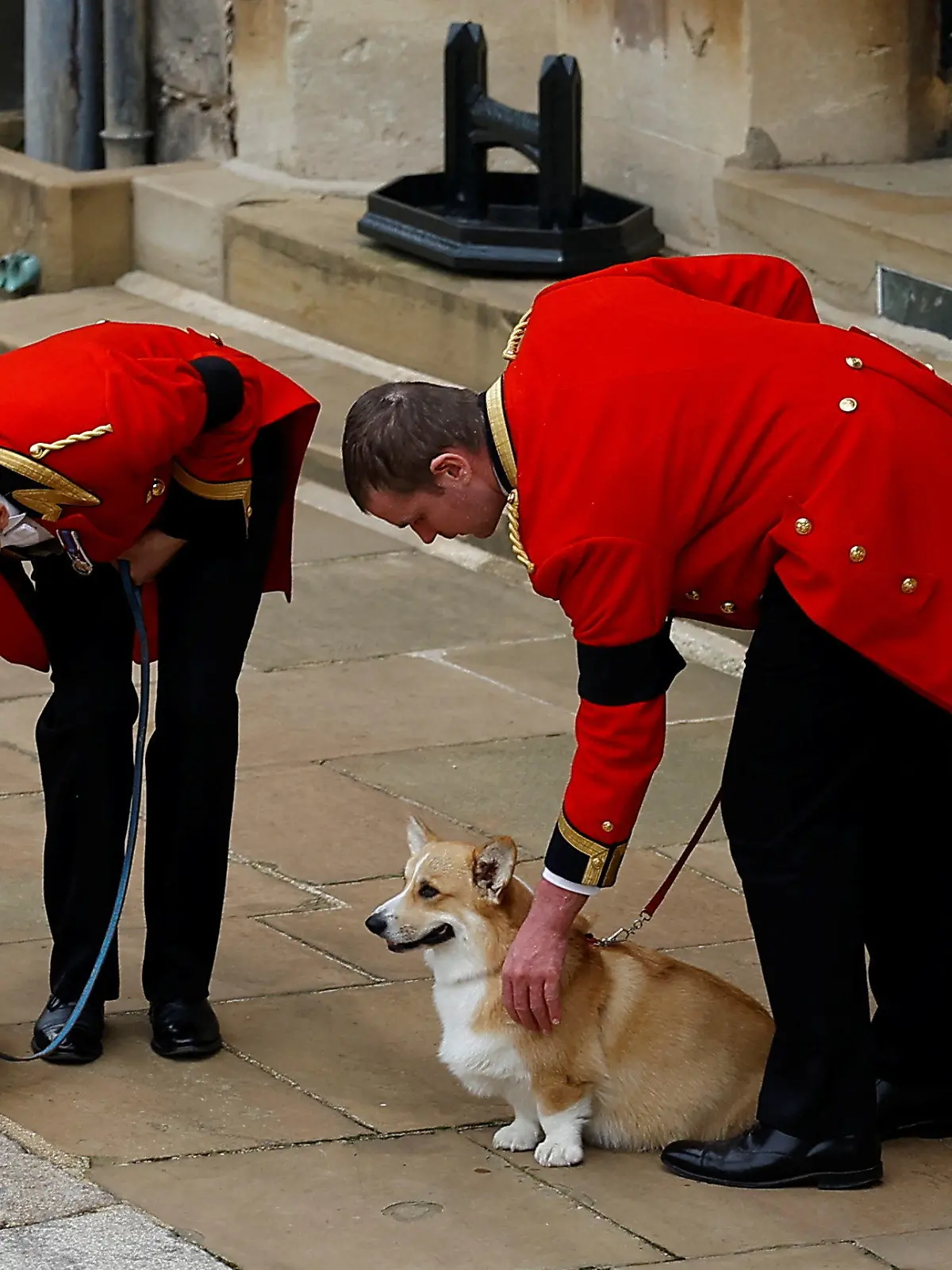 19.09.2022, Großbritannien, Windsor: Die beiden Corgis der Königin, Muick und Sandy, sind während der feierlichen Prozession durch Schloss Windsor  vor der Beisetzung von Königin Elizabeth II. zu sehen. In einer Seitenkapelle der St.-Georges-Kapelle auf dem weitläufigen Schlossgelände soll die Queen nach dem Aussegnungsgottesdienst ihre letzte Ruhestätte finden. Foto: Peter Nicholls/PA Wire/dpa +++ dpa-Bildfunk +++