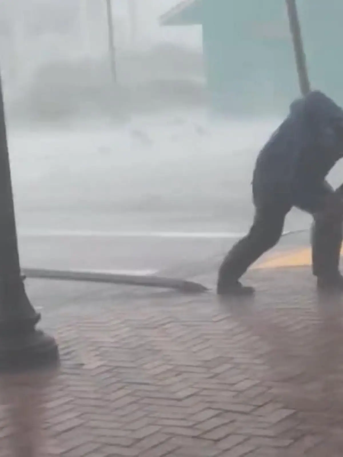 Unglaubliche Szene aus Florida. CNN-Reporter Jim Cantore wird während eines Live-Berichts von einem Baum getroffen. Im Video ist zu sehen, wie er sich mit aller Kraft dem Mega-Hurrikan entgegenstellt.