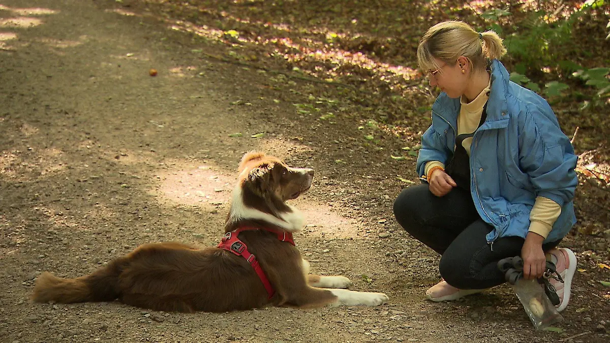 Anti-Giftköder-Training mit Hund Charlie