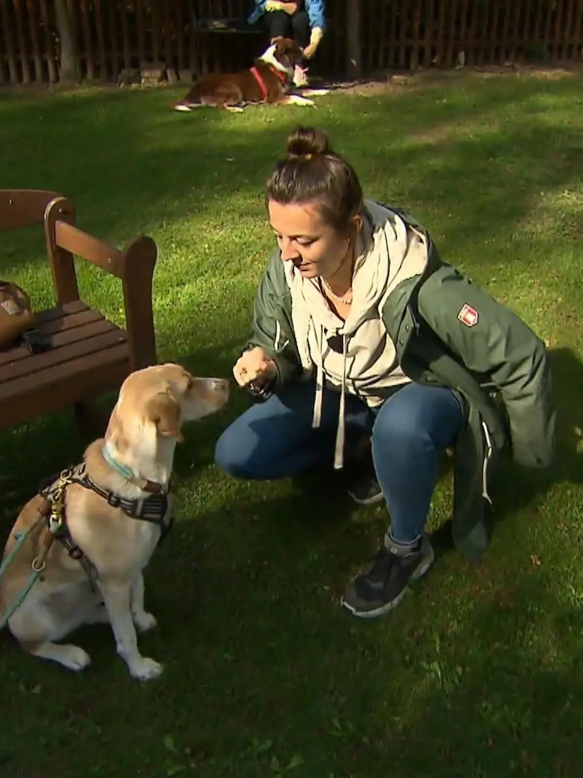 Es sind Meldungen, die bei Hundebesitzern ein ungutes Gefühl hinterlassen: Hunde brechen nach einem Spaziergang plötzlich vollkommen unerwartet zusammen. Auch wenn sofort ein Tierarzt aufgesucht wird, kann es manchmal schon zu spät sein. Der Grund dafür sind oft Giftköder. In Frankfurt machte erst kürzlich ein besonders schlimmer Fall die Runde. Im Bonifatiuspark wurden elf Hunde vergiftet, sieben starben. Viele Hundebesitzer fragen sich jetzt: Was kann ich tun, damit mein Hund den giftigen Snack liegen lässt? Unsere RTL-Reporterin hat sich von einer Hundetrainerin Tipps geholt.