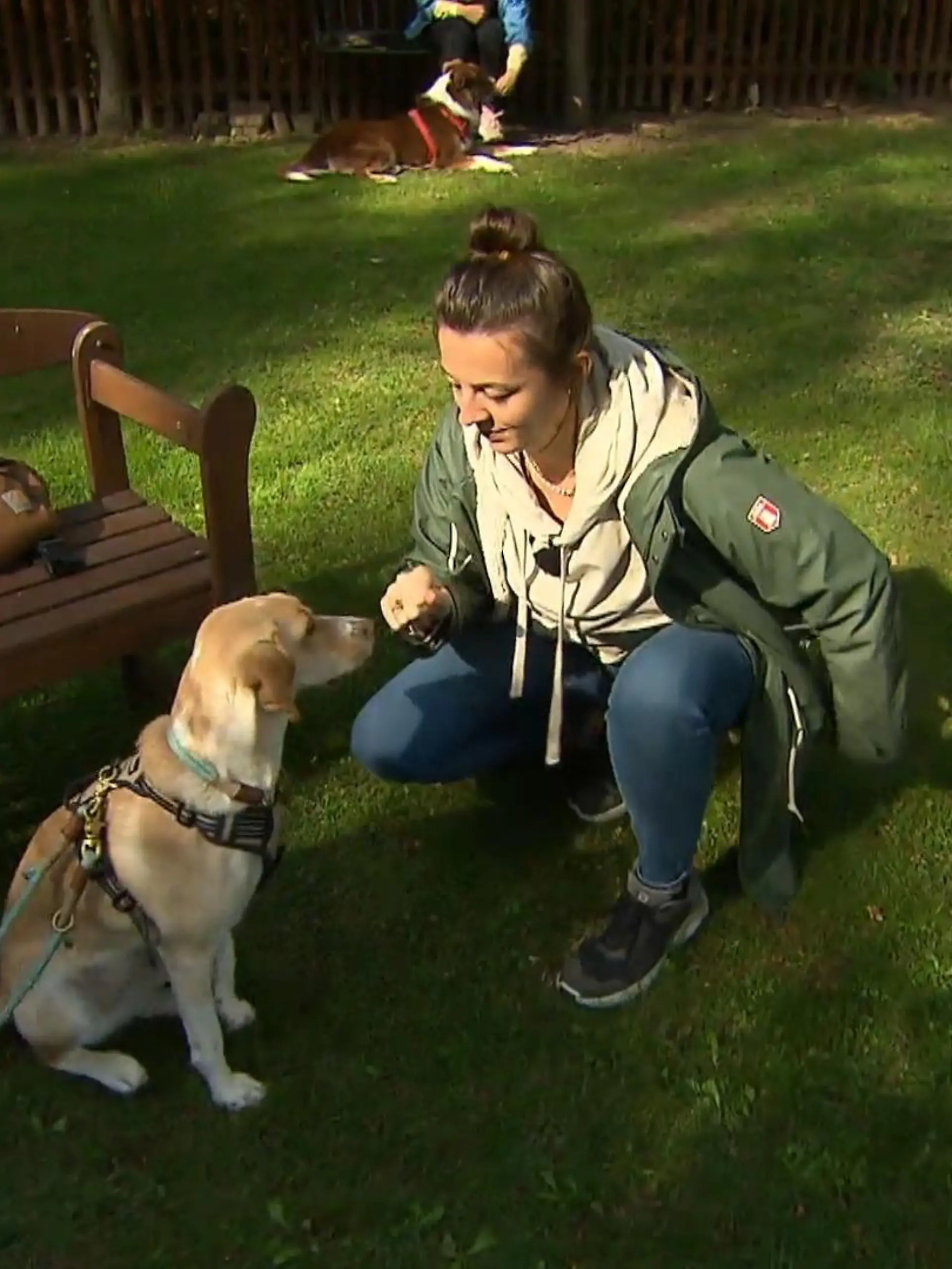 Es sind Meldungen, die bei Hundebesitzern ein ungutes Gefühl hinterlassen: Hunde brechen nach einem Spaziergang plötzlich vollkommen unerwartet zusammen. Auch wenn sofort ein Tierarzt aufgesucht wird, kann es manchmal schon zu spät sein. Der Grund dafür sind oft Giftköder. In Frankfurt machte erst kürzlich ein besonders schlimmer Fall die Runde. Im Bonifatiuspark wurden elf Hunde vergiftet, sieben starben. Viele Hundebesitzer fragen sich jetzt: Was kann ich tun, damit mein Hund den giftigen Snack liegen lässt? Unsere RTL-Reporterin hat sich von einer Hundetrainerin Tipps geholt.