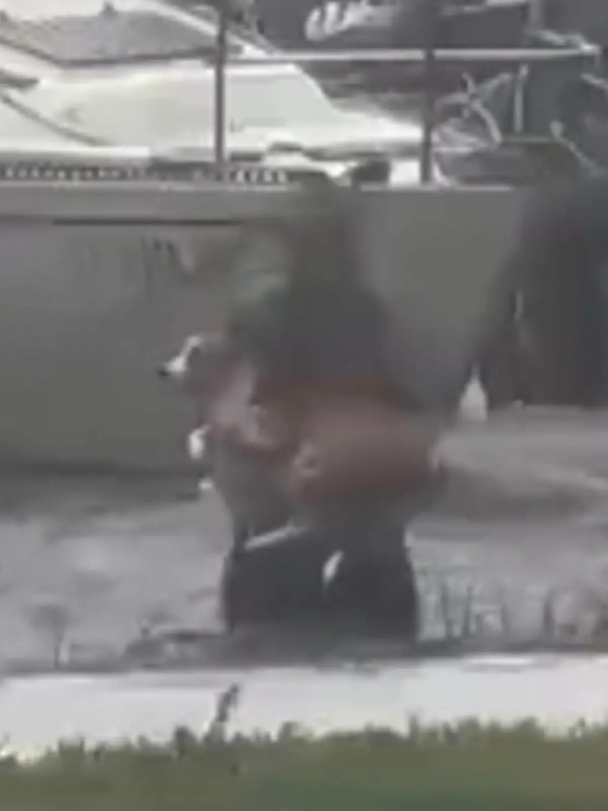Hurrican Ian hat die amerikanische Südostküste voll erwischt. Ein Twittervideo zeigt nun, wie heldenhaft die Bevölkerung inmitten des Sturms zusammenhält und sich gegenseitig hilfz.