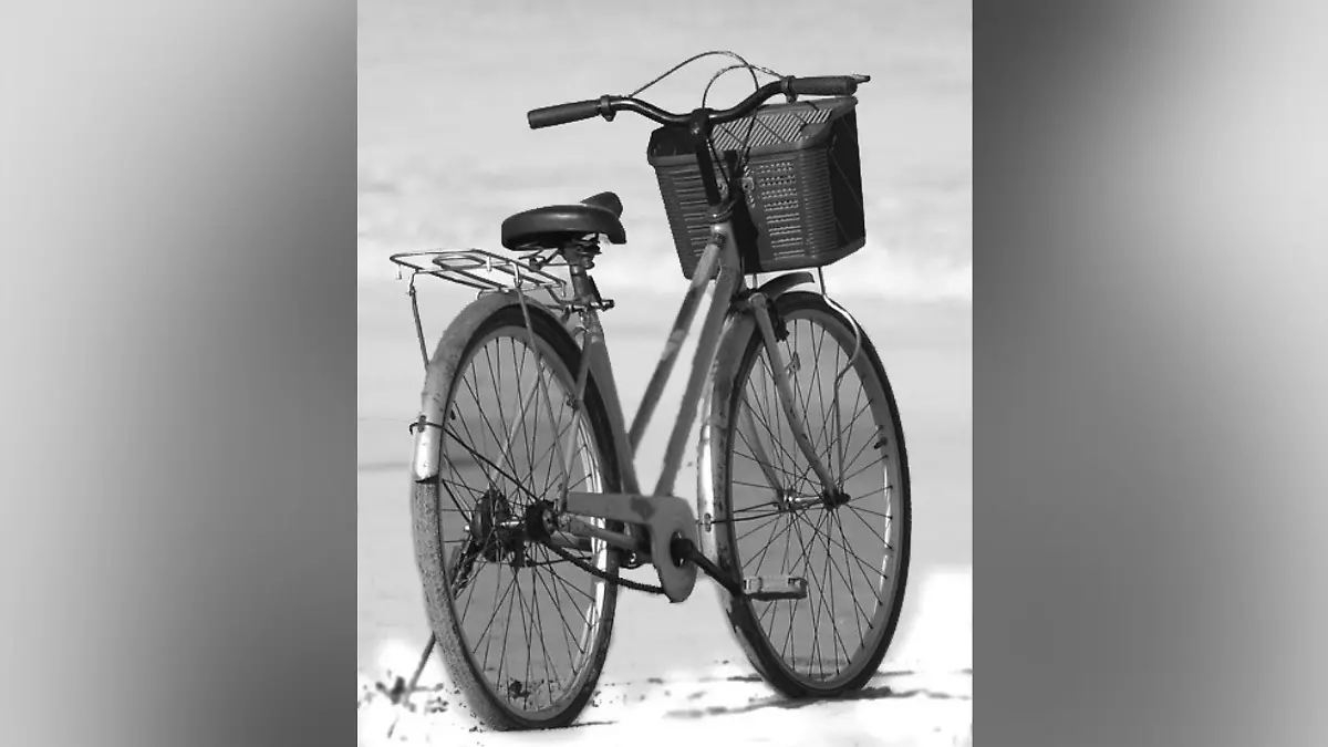 Tamara T. oder ihre Begleitung sollen ein Fahrrad wie dieses dabei gehabt haben.