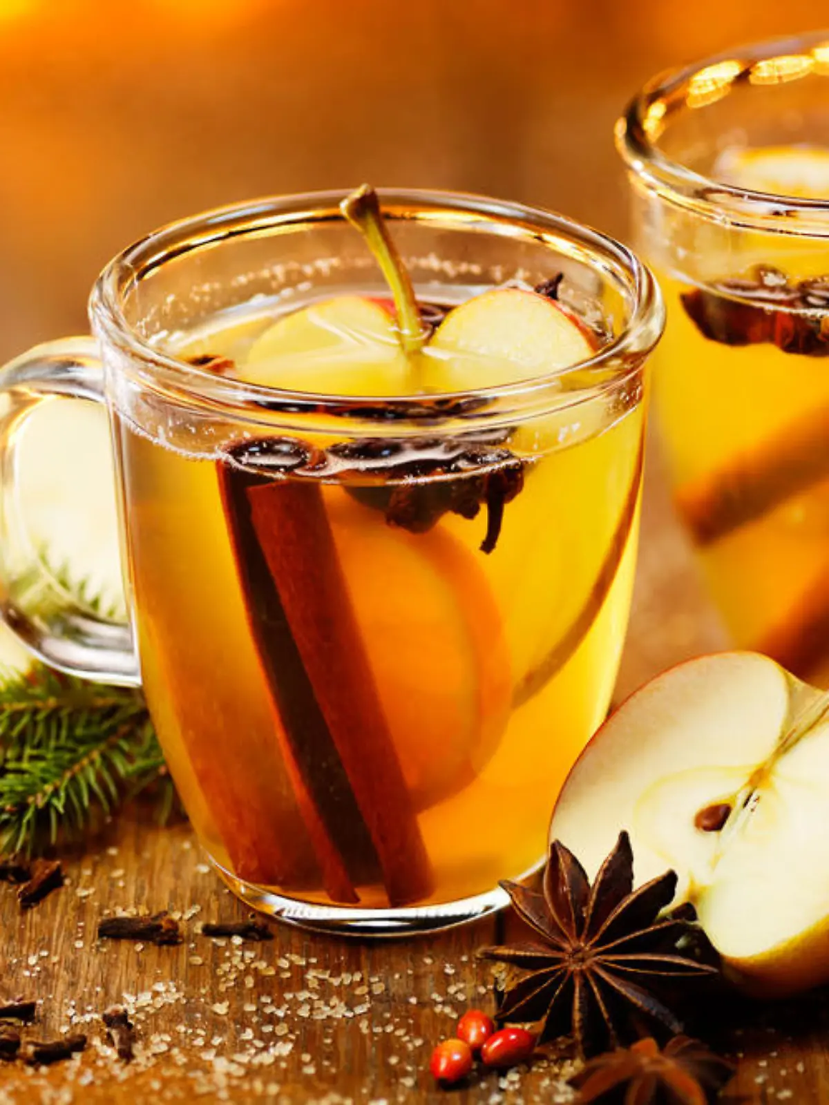 Hot cider with addition of cinnamon sticks, anise stars, cloves and citrus fruits