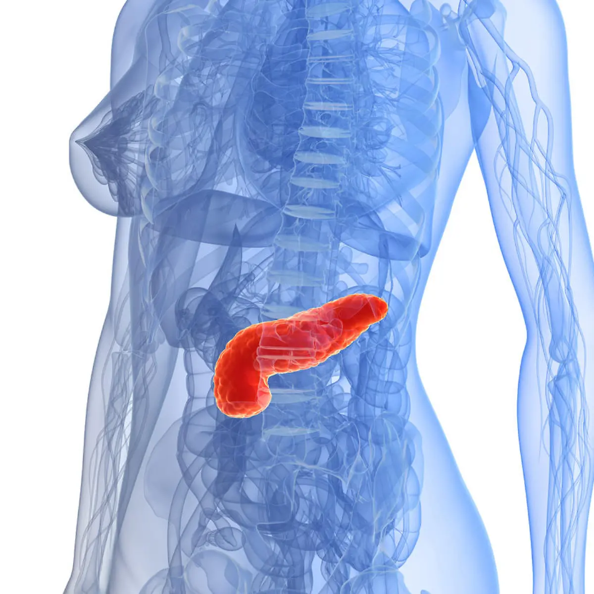 Pankreasinsuffizienz Logo von Pankreasinsuffizienz