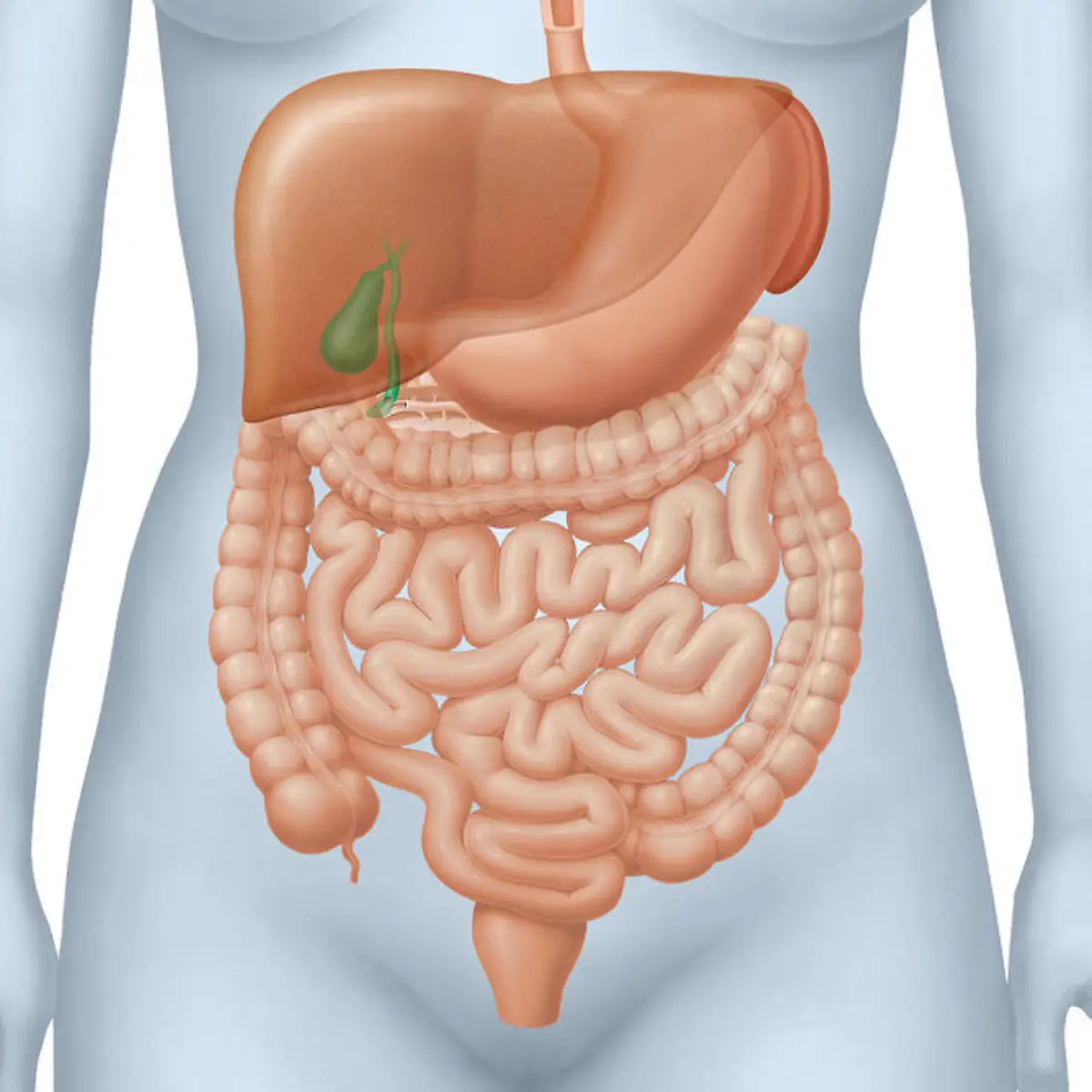 Galle Logo von Galle