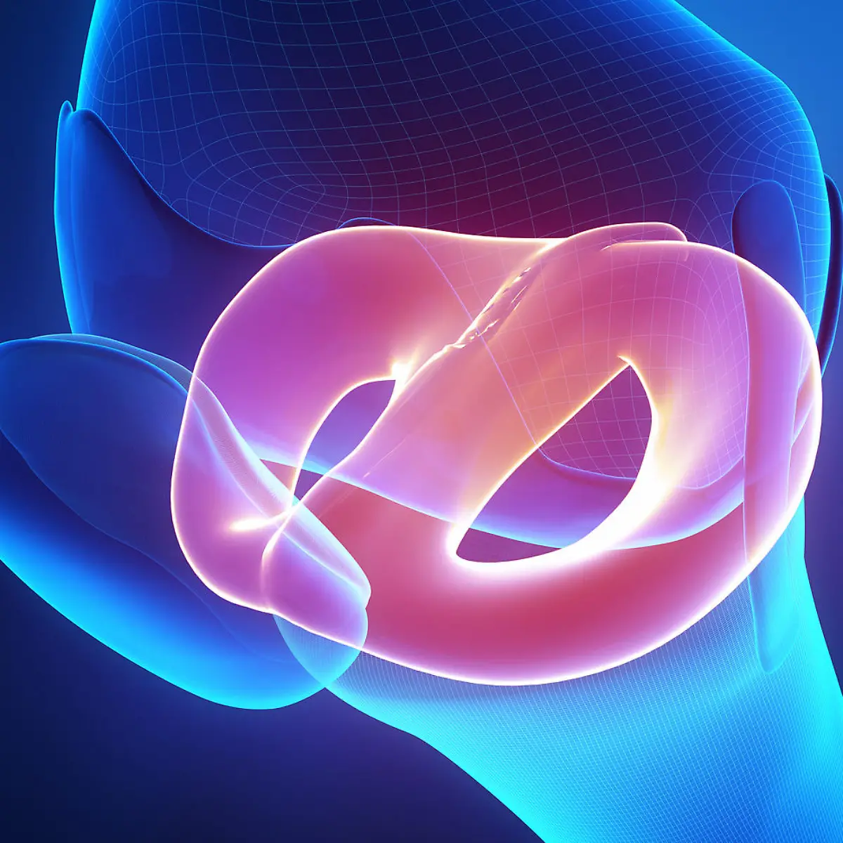 Meniskus Logo von Meniskus