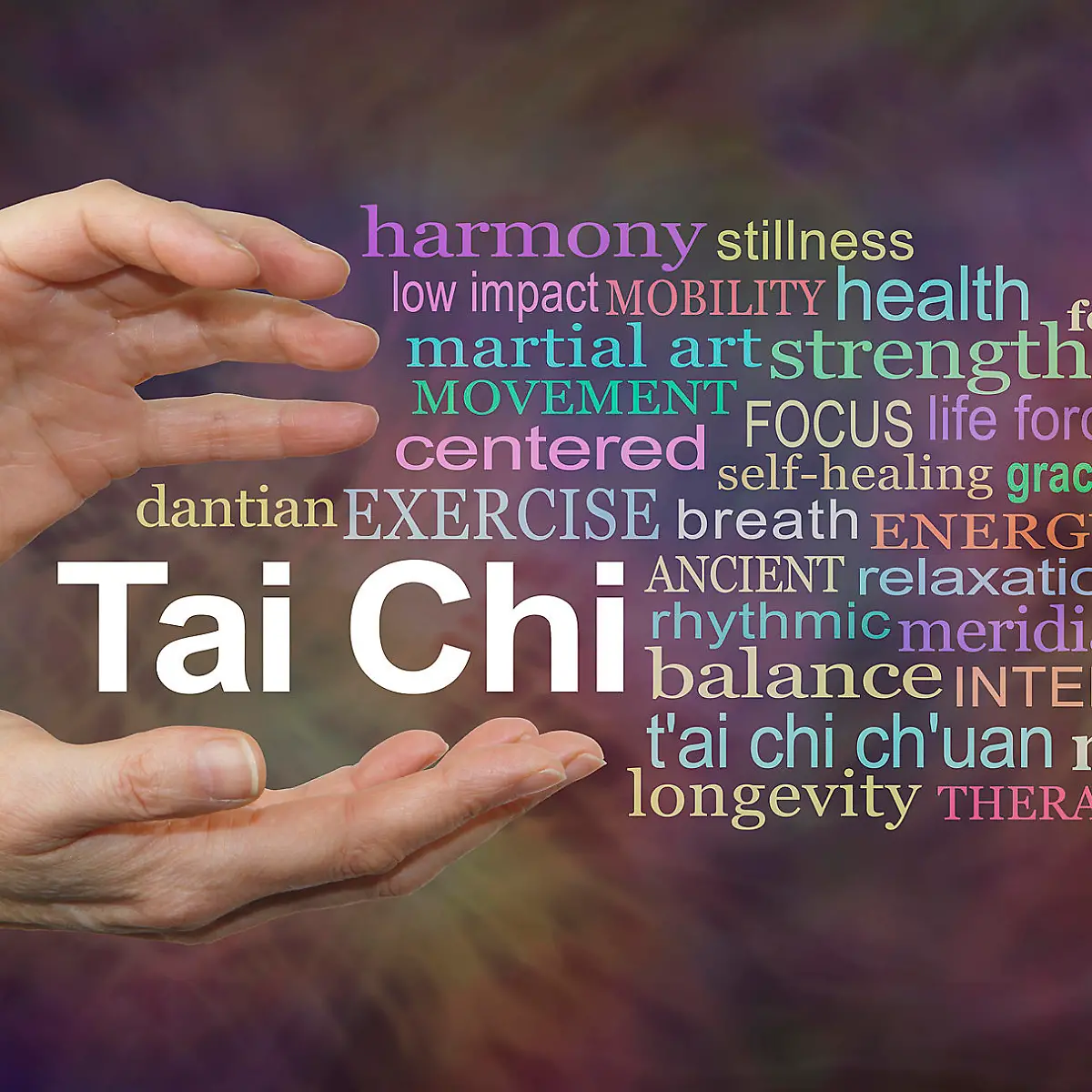 Tai Chi (Taijiquan) Logo von Tai Chi (Taijiquan)
